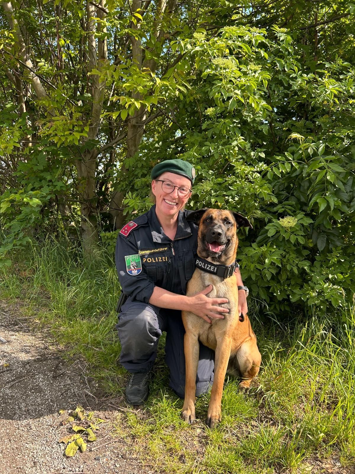 Polizeihund 