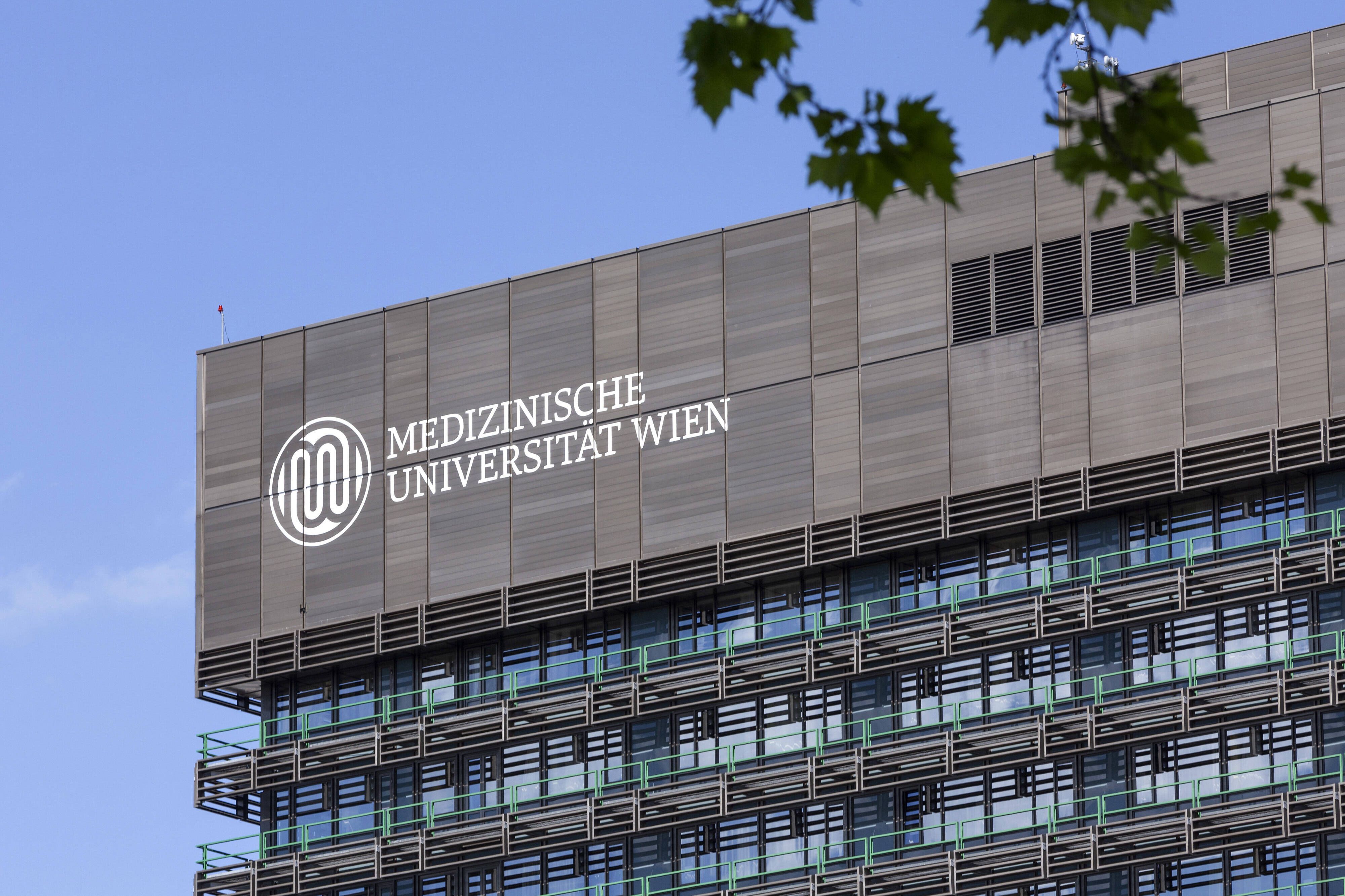 Die Medizinischen Universitäten schlagen Alarm: Die Regierung will ab 2028 rund 14 Prozent des Budgets reduzieren.