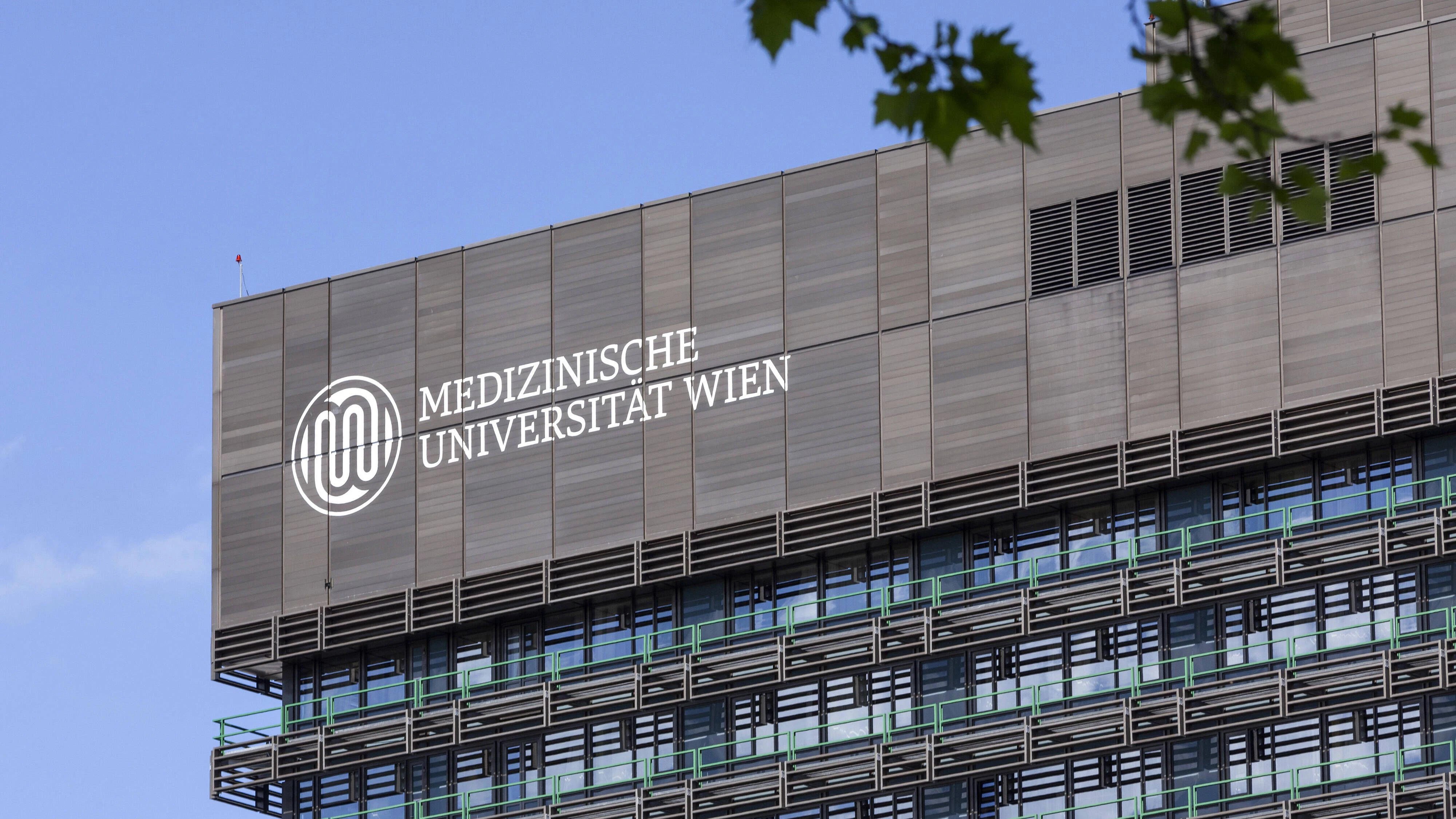 AKH, Allgemeines Krankenhaus der Stadt Wien und Medizinische Universität, Österreich *** AKH, GENERAL Hospital the City Vienna and medical University, Austria 1065529160