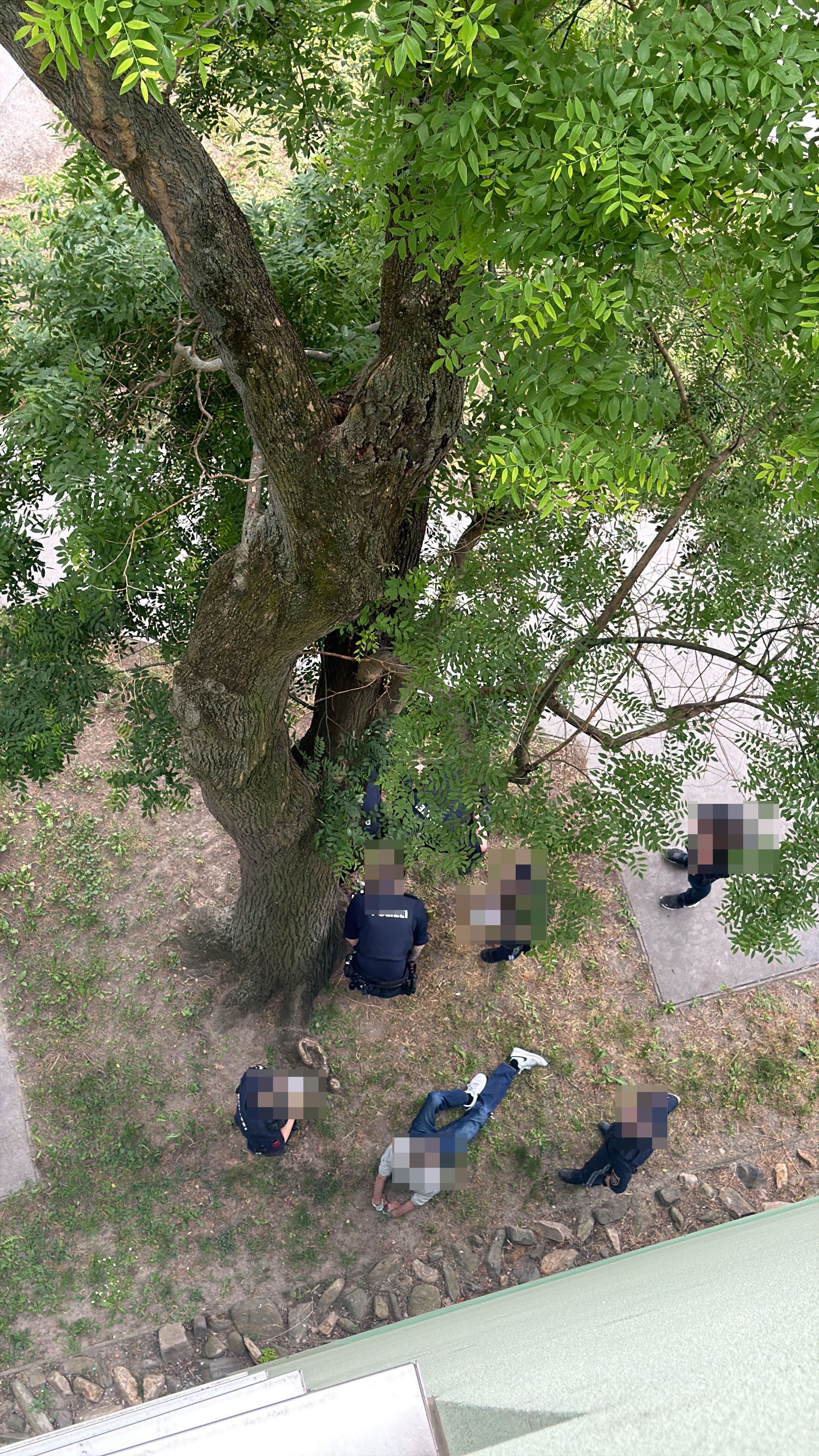 Festnahme am Mittwoch in der Wiener Großfeldsiedlung.