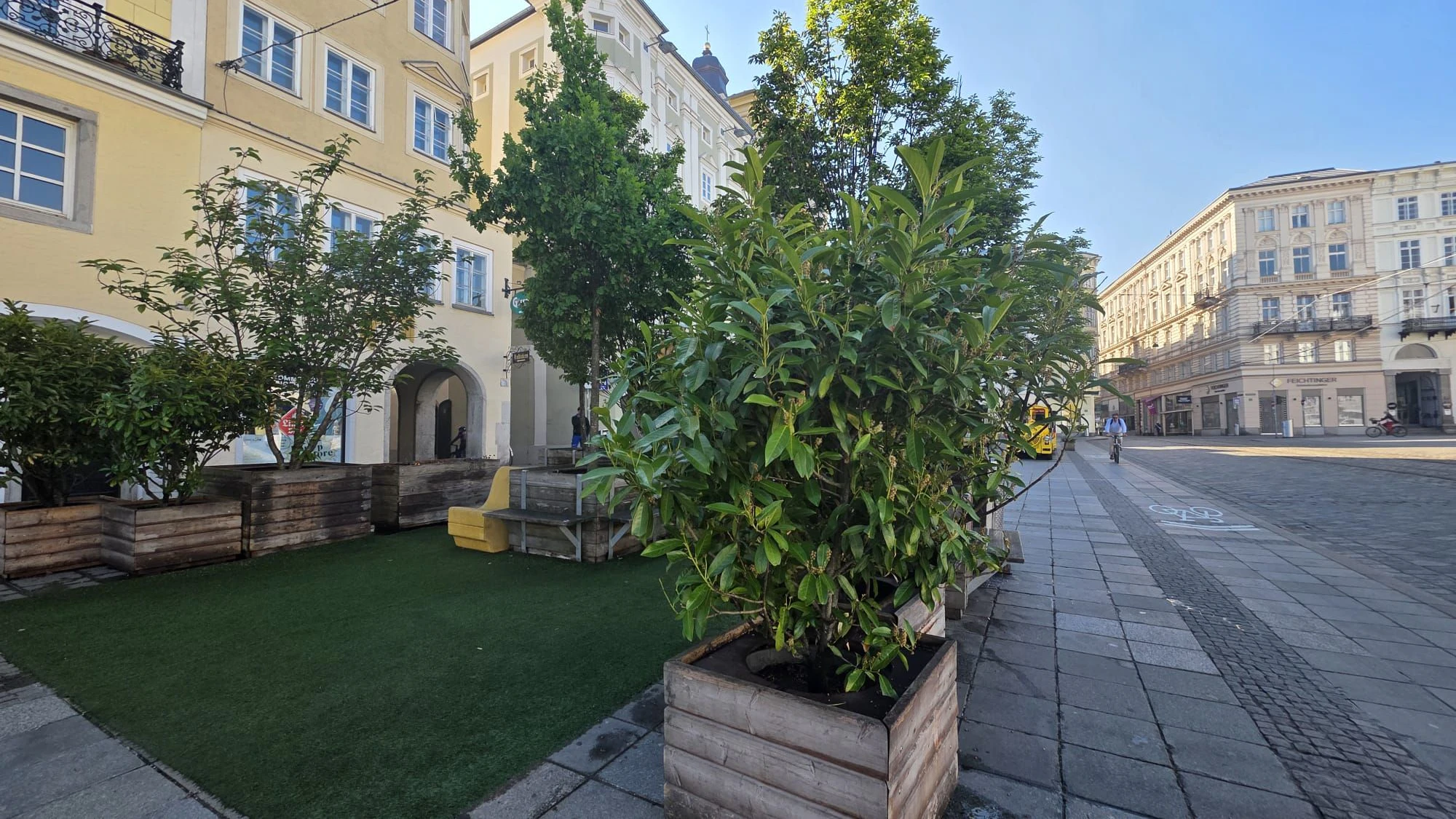 Mehrere Kirschlorbeer-Sträucher stehen am Hauptplatz.