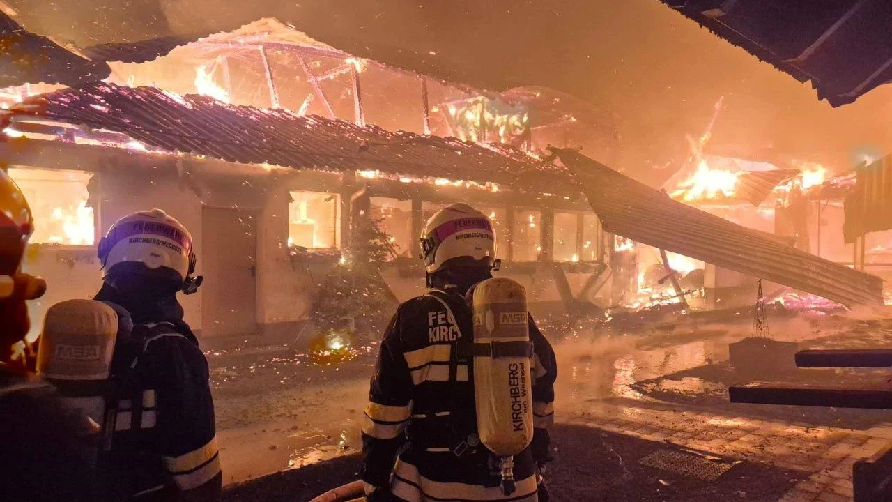 Zig Kühe versterben bei dem Großbrand in Kirchberg am Wechsel.