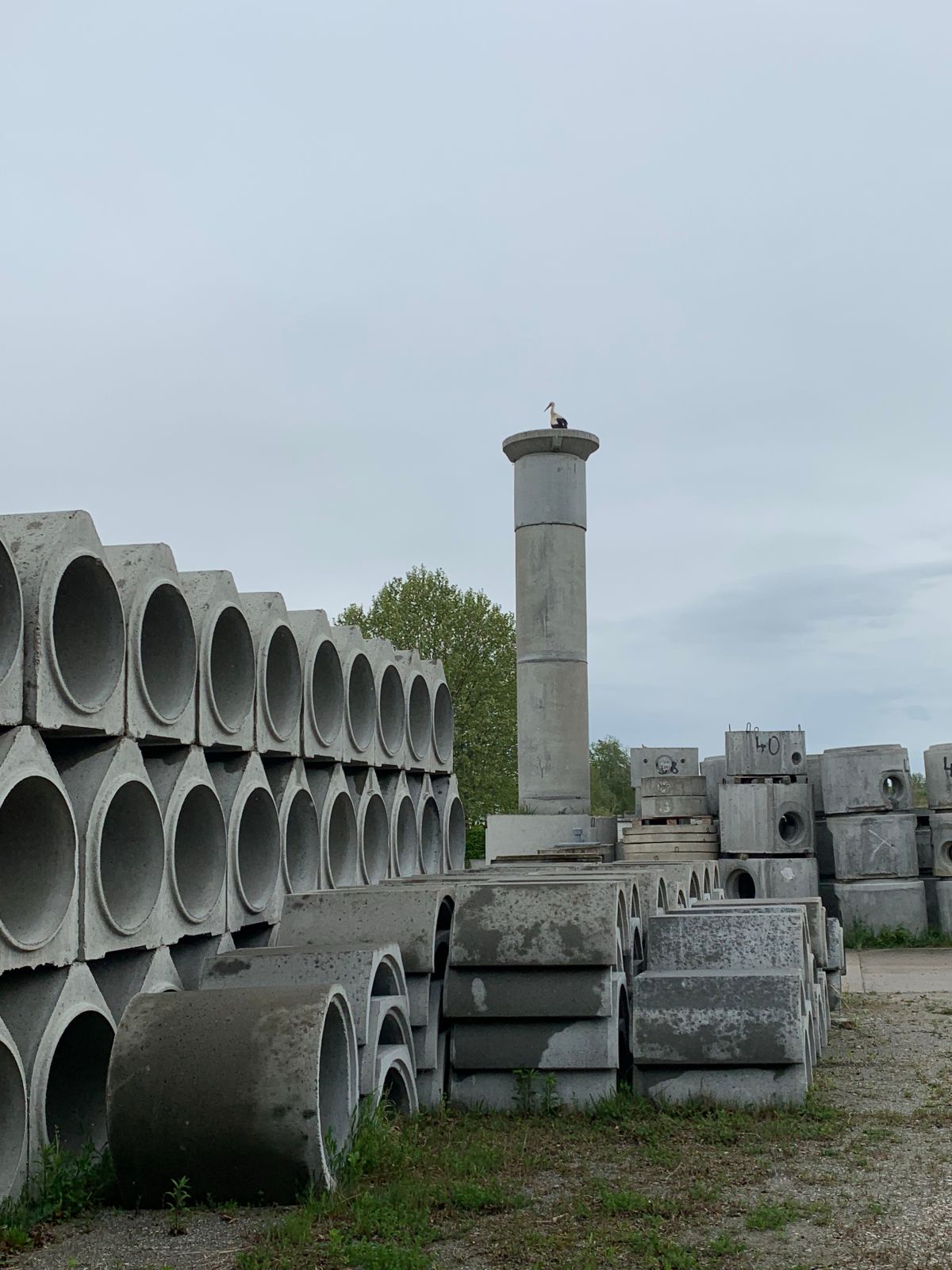 Heute.at - Betonprodukte in allen Variationen und Größen