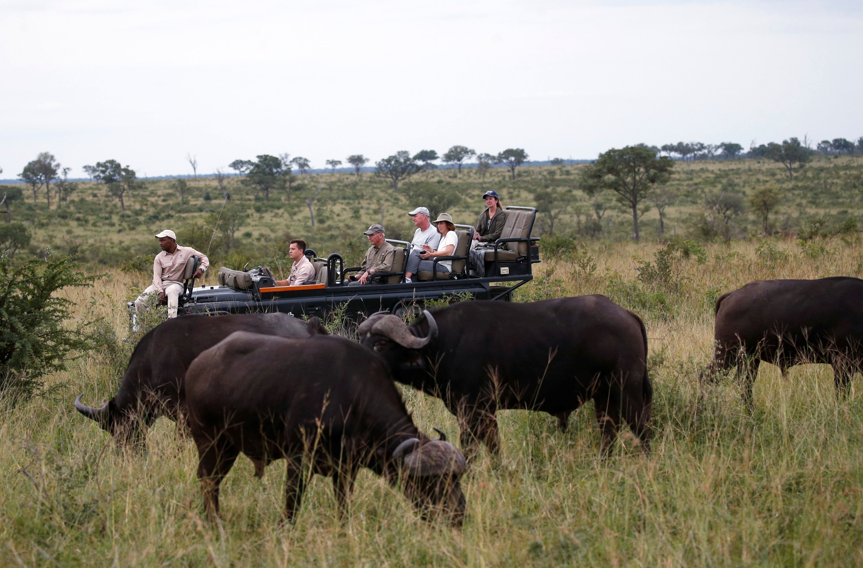 Im bekannten Kruger-Nationalpark in Südafrika wurden zwei Leichen entdeckt.