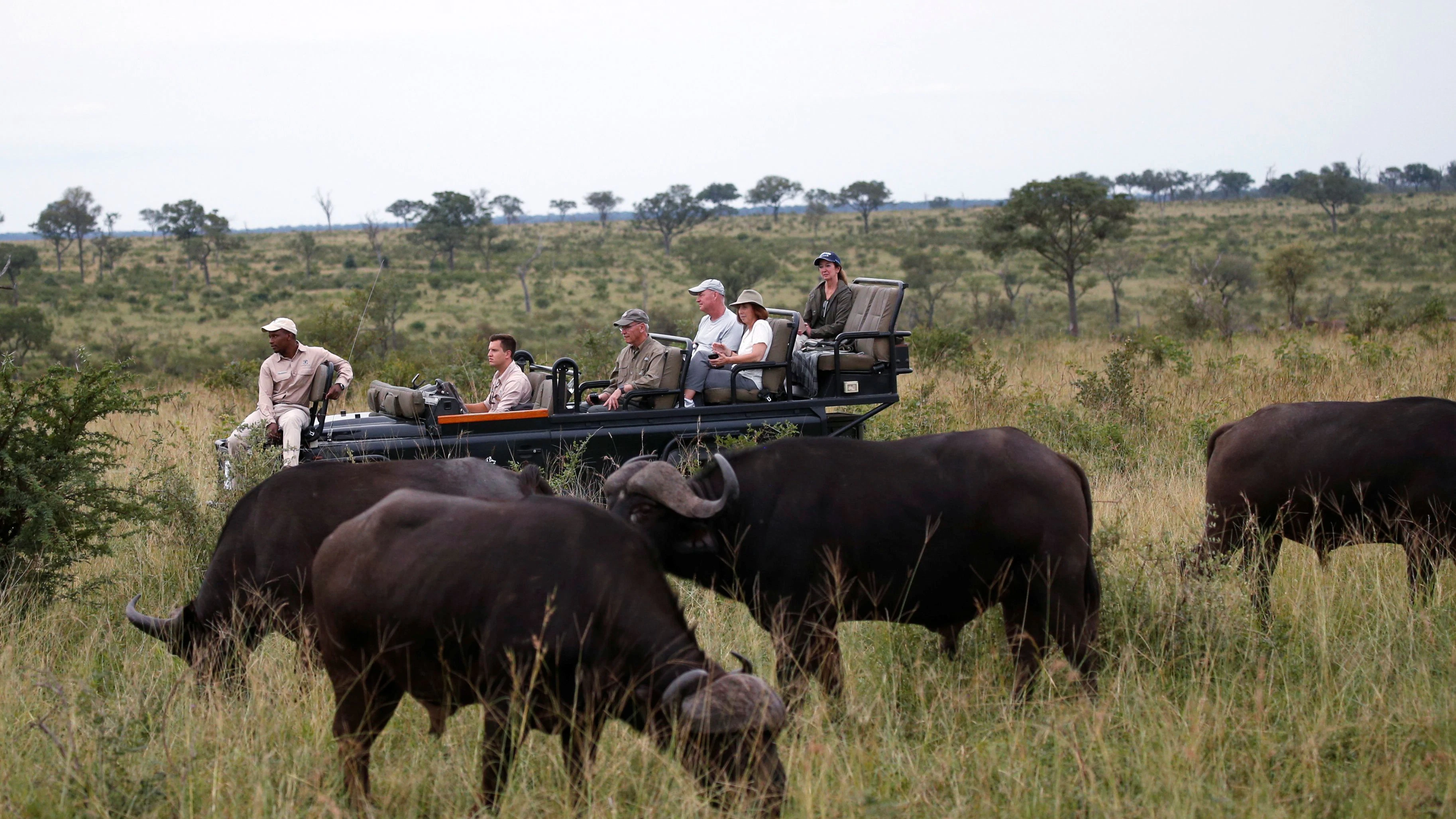Tourists are seen at a Safari watching a herd of buffaloes at a game reserve adjacent to the world-renowned Kruger National Park in Mpumalanga province, South Africa, April 11, 2019. Picture taken April 11, 2019. REUTERS/Siphiwe Sibeko