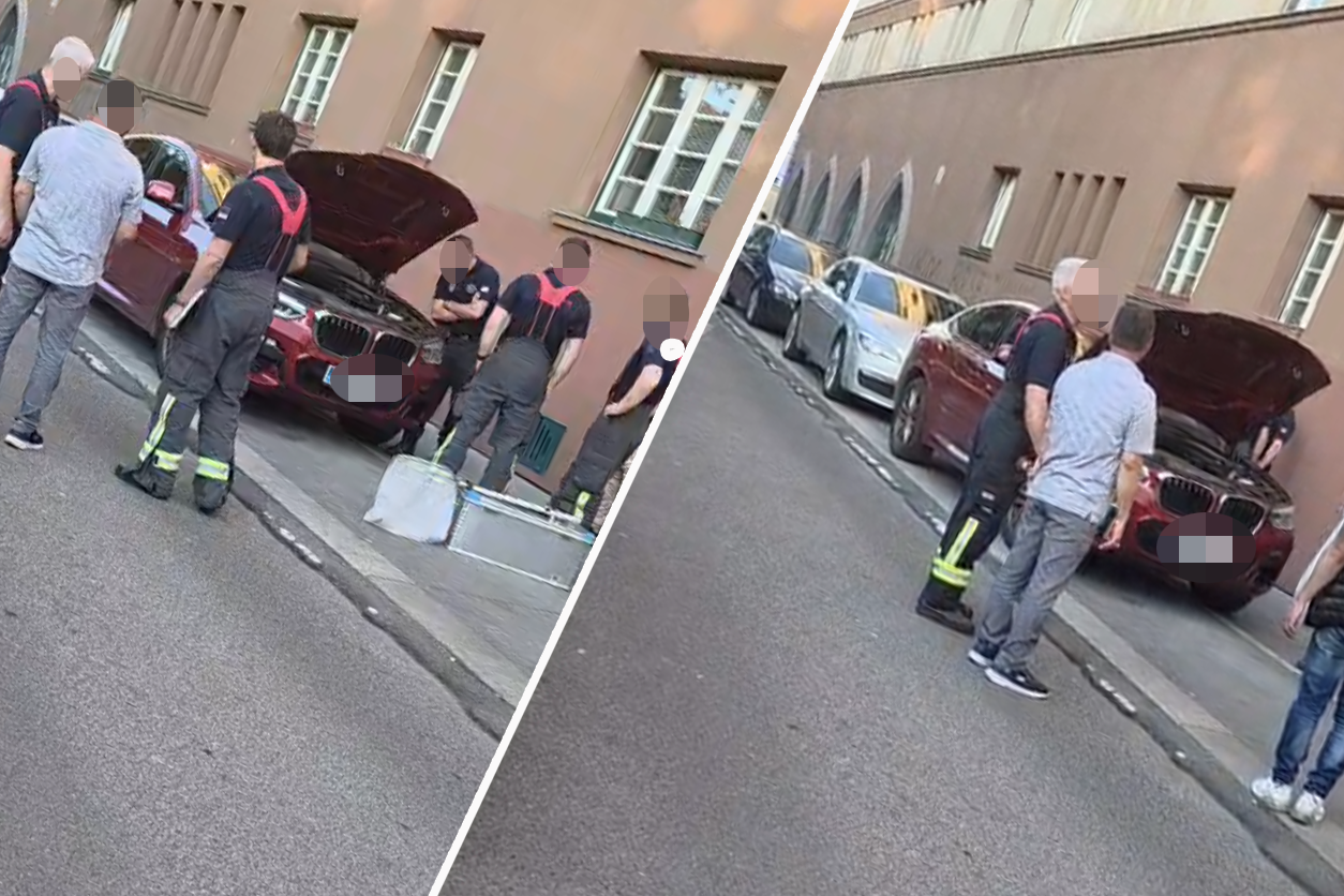 Heute.at - Tierischer Einsatz: Schlange kriecht in Motorraum