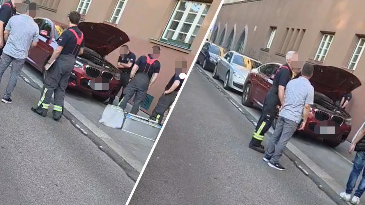Heute.at - Tierischer Einsatz: Schlange kriecht in Motorraum