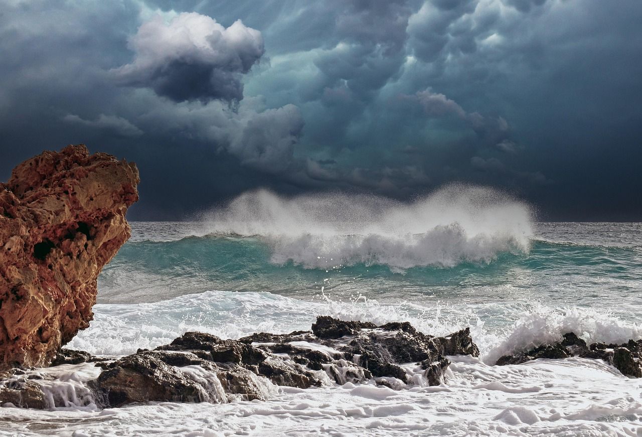 Heute.at - Sturm spült Tausende Penisfische an den Strand
