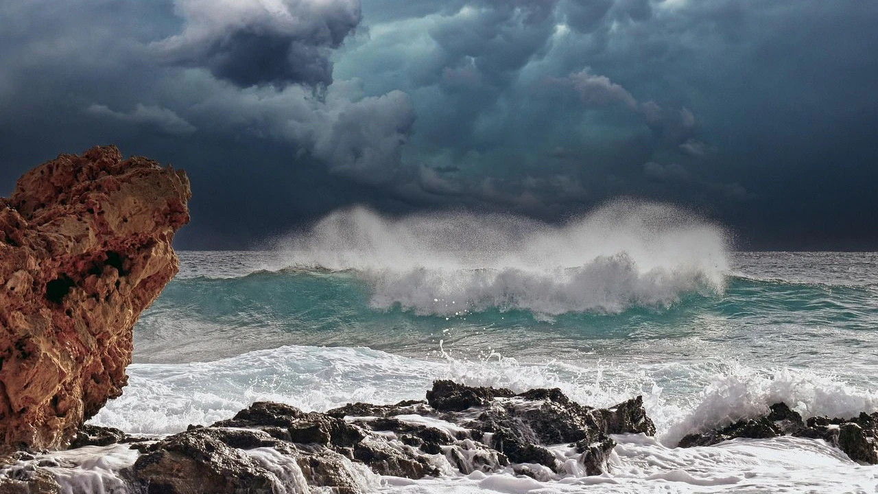 Heute.at - Sturm spült Tausende Penisfische an den Strand