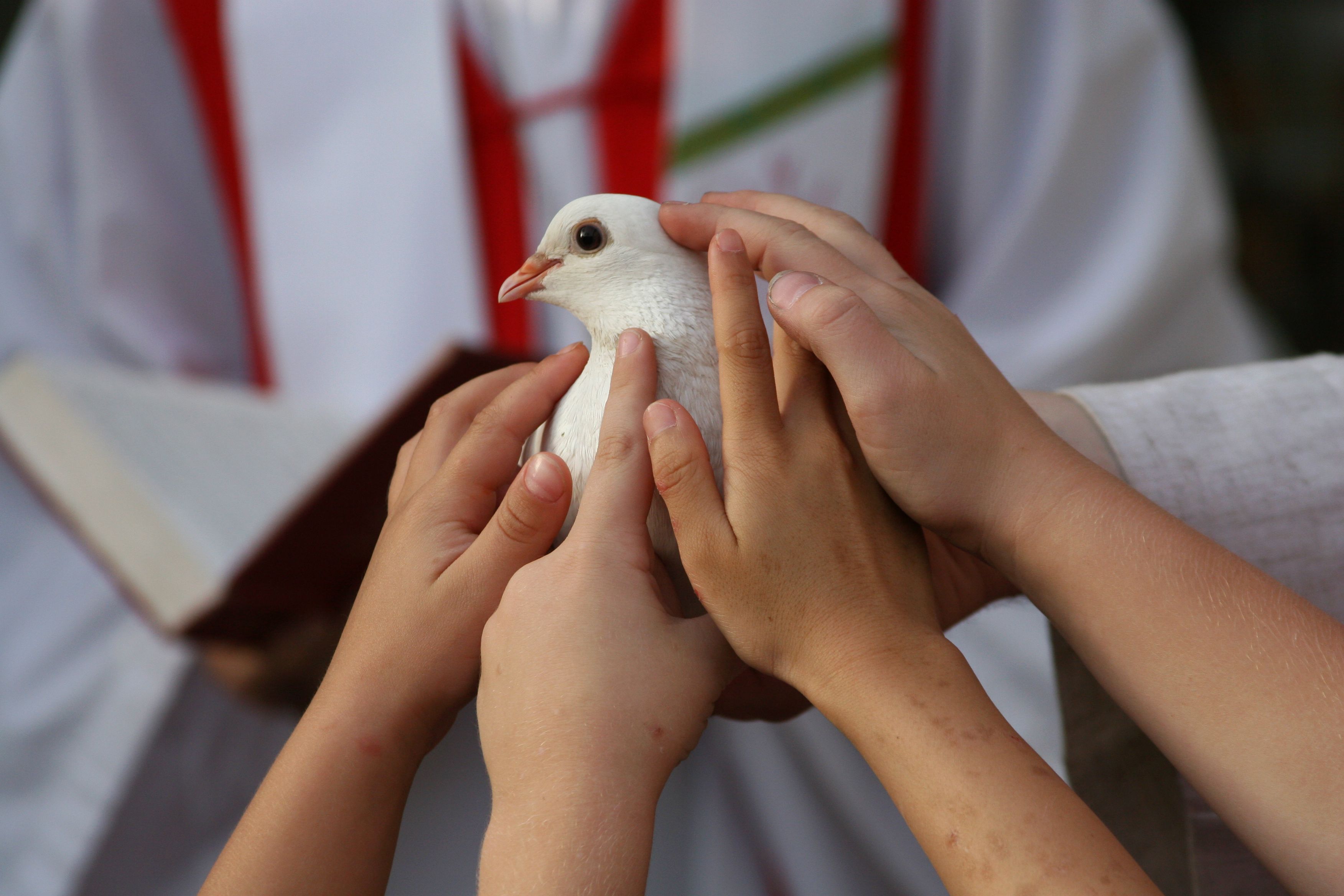 An Pfingsten feiern Christinnen und Christen die Entsendung des Heiligen Geistes und die 