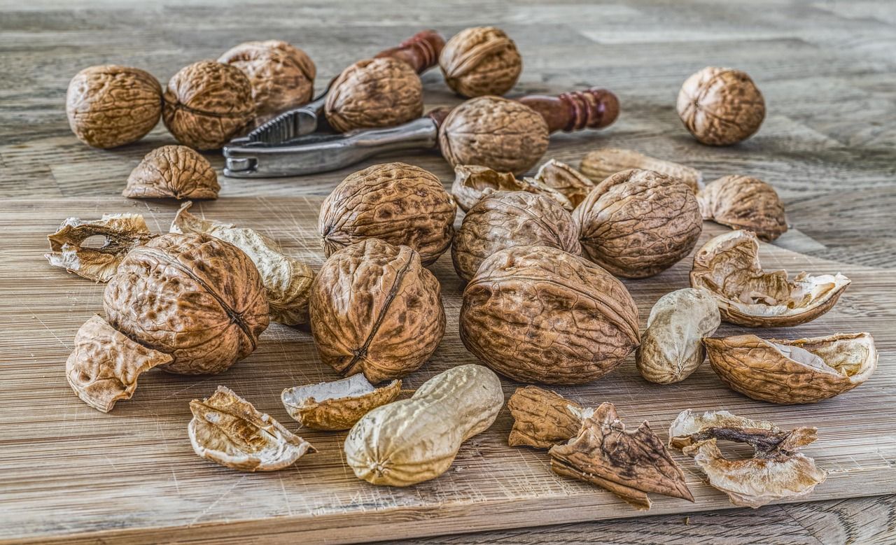 Heute.at - So viel Protein brauchst du ab 50 wirklich