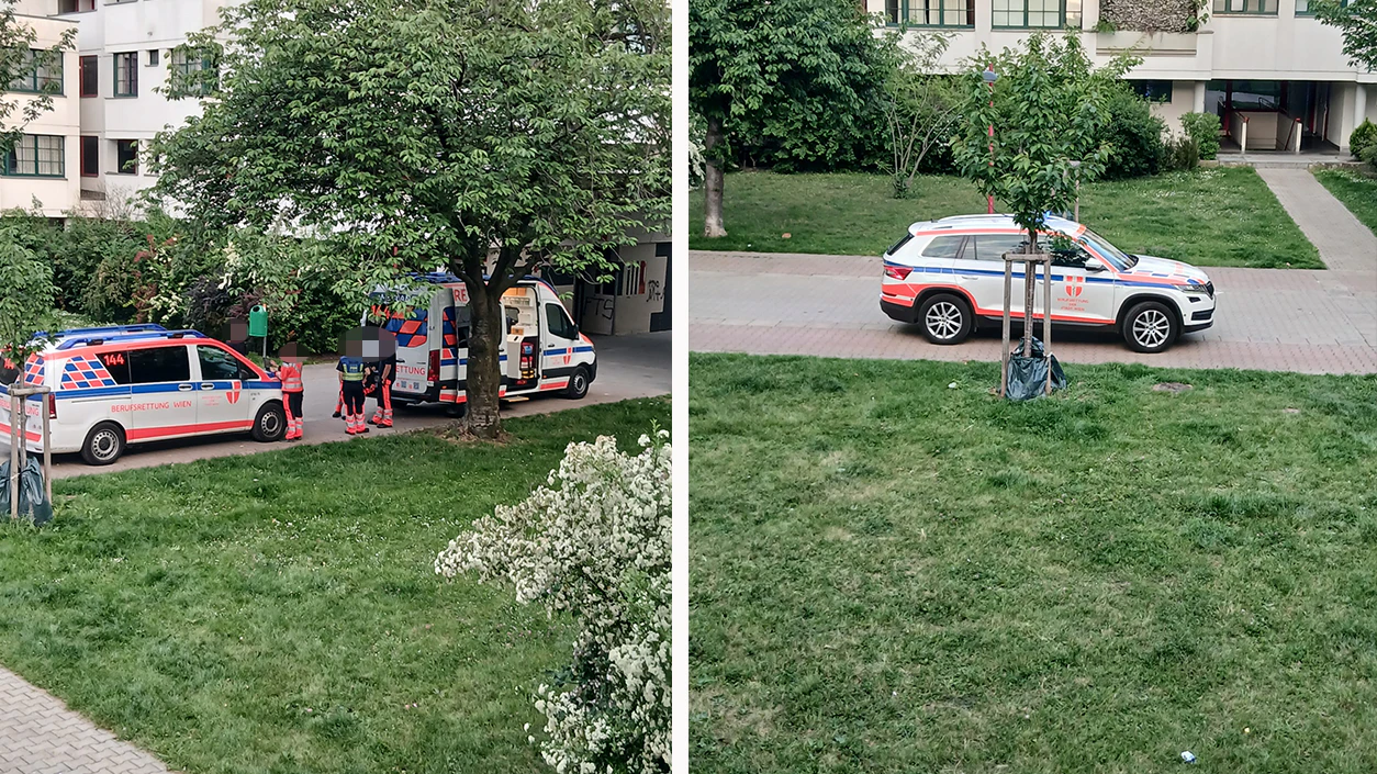 Die Bewohner des Gemeindebaus fühlen sich im Stich gelassen.