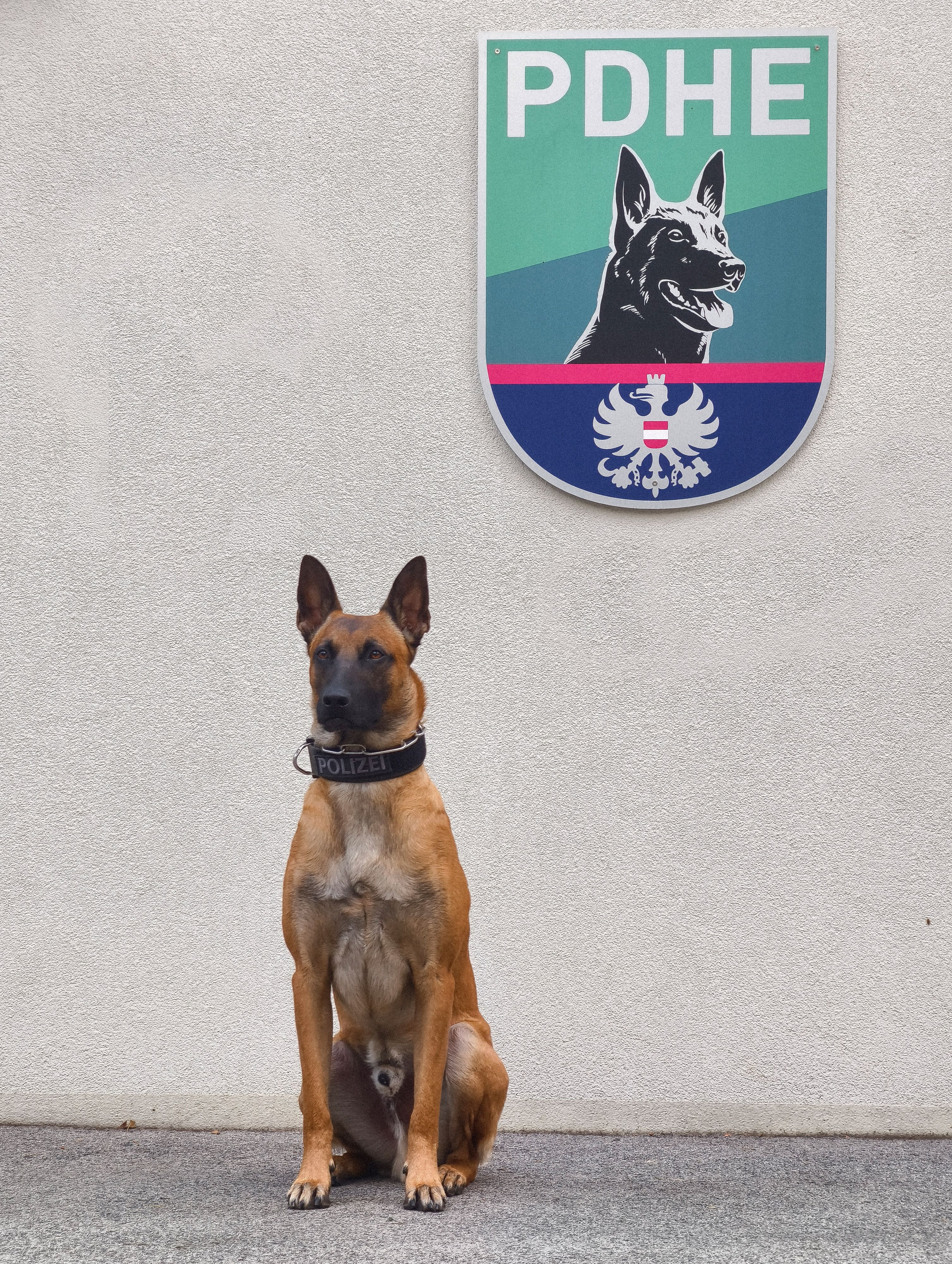 Orlik schnappte die beiden Verdächtigen.