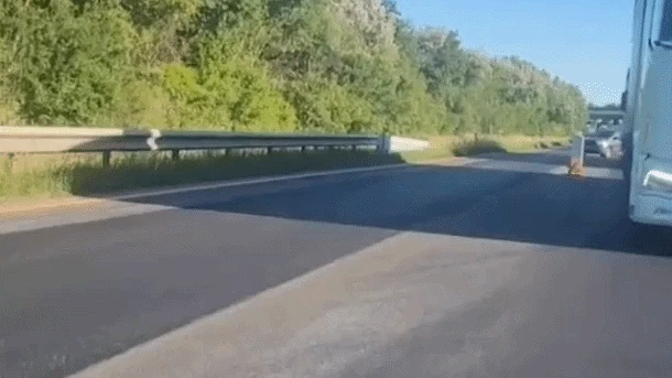 Heute.at - Stundenlanger A4-Stau – Autofahrer pfeifen auf Regeln