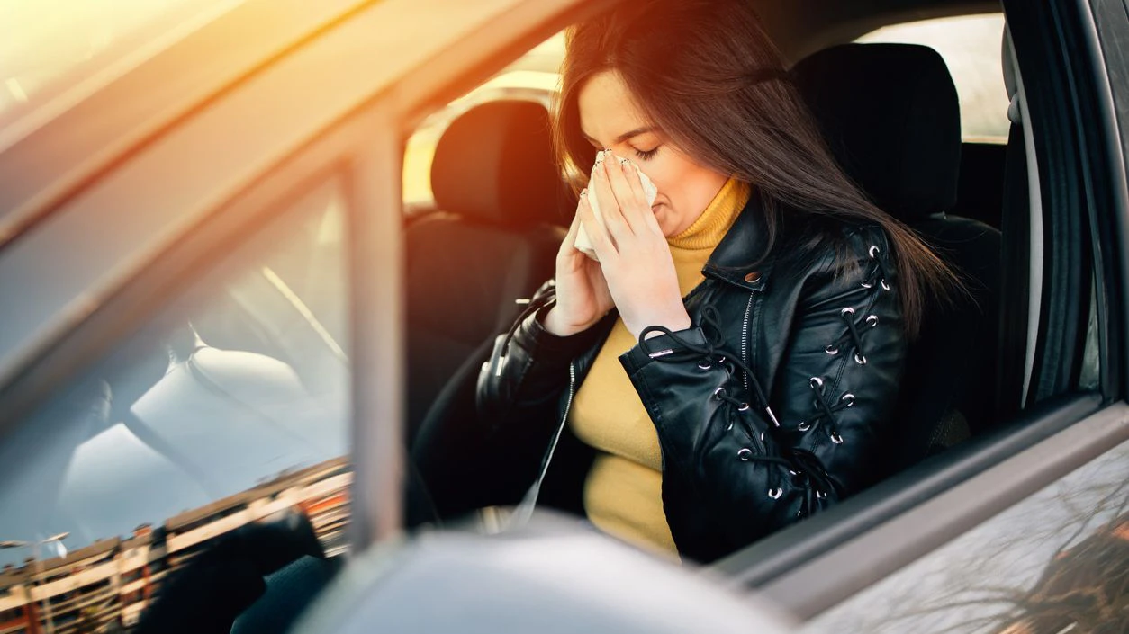 Die aktuelle Pollensaison stellt für viele Autofahrer:innen eine Belastung dar