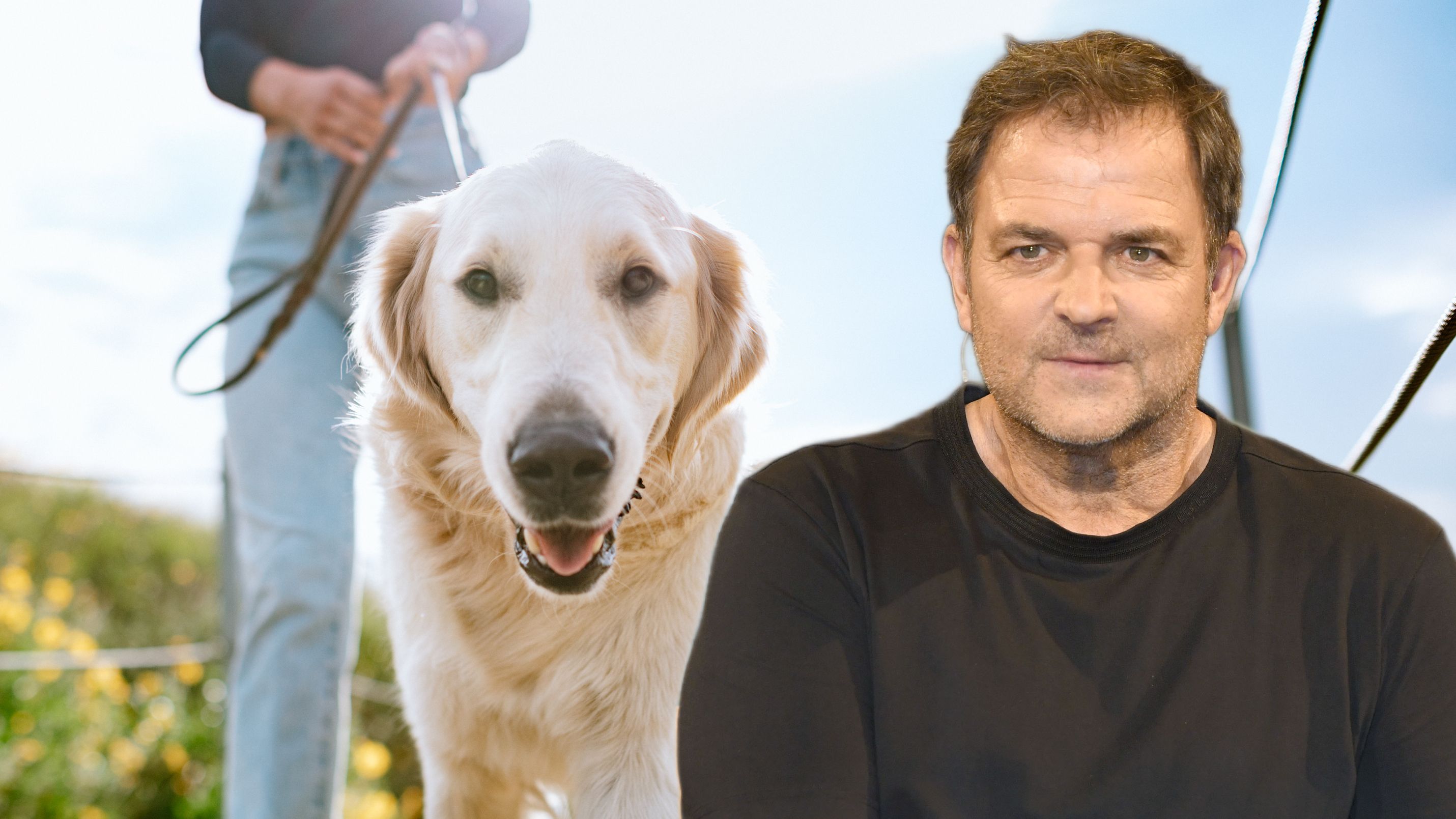 Martin Rütter appelliert an Hunde-Halter.