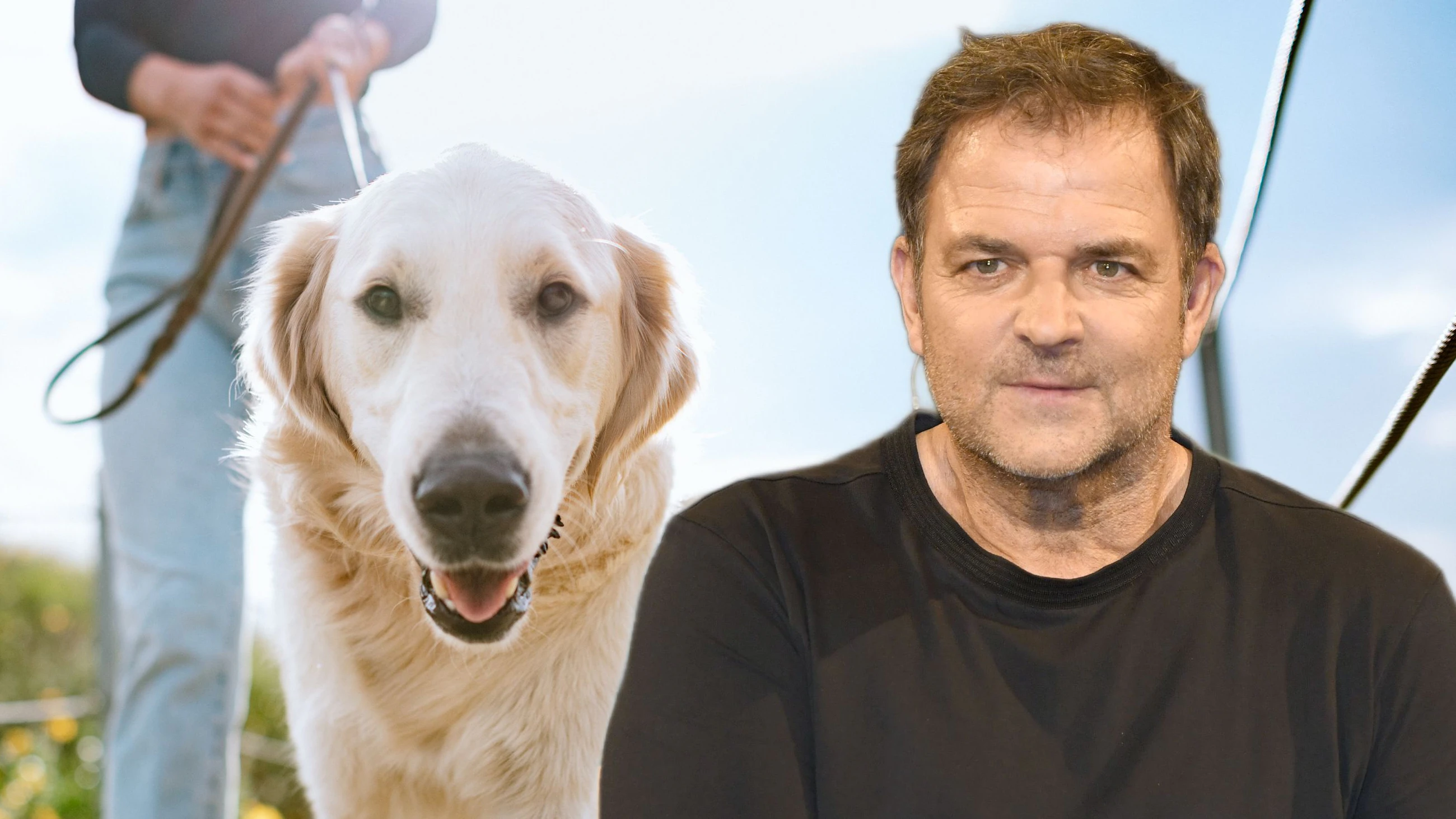 Heute.at - Martin Rütter warnt vor falscher Gassi-Zeit