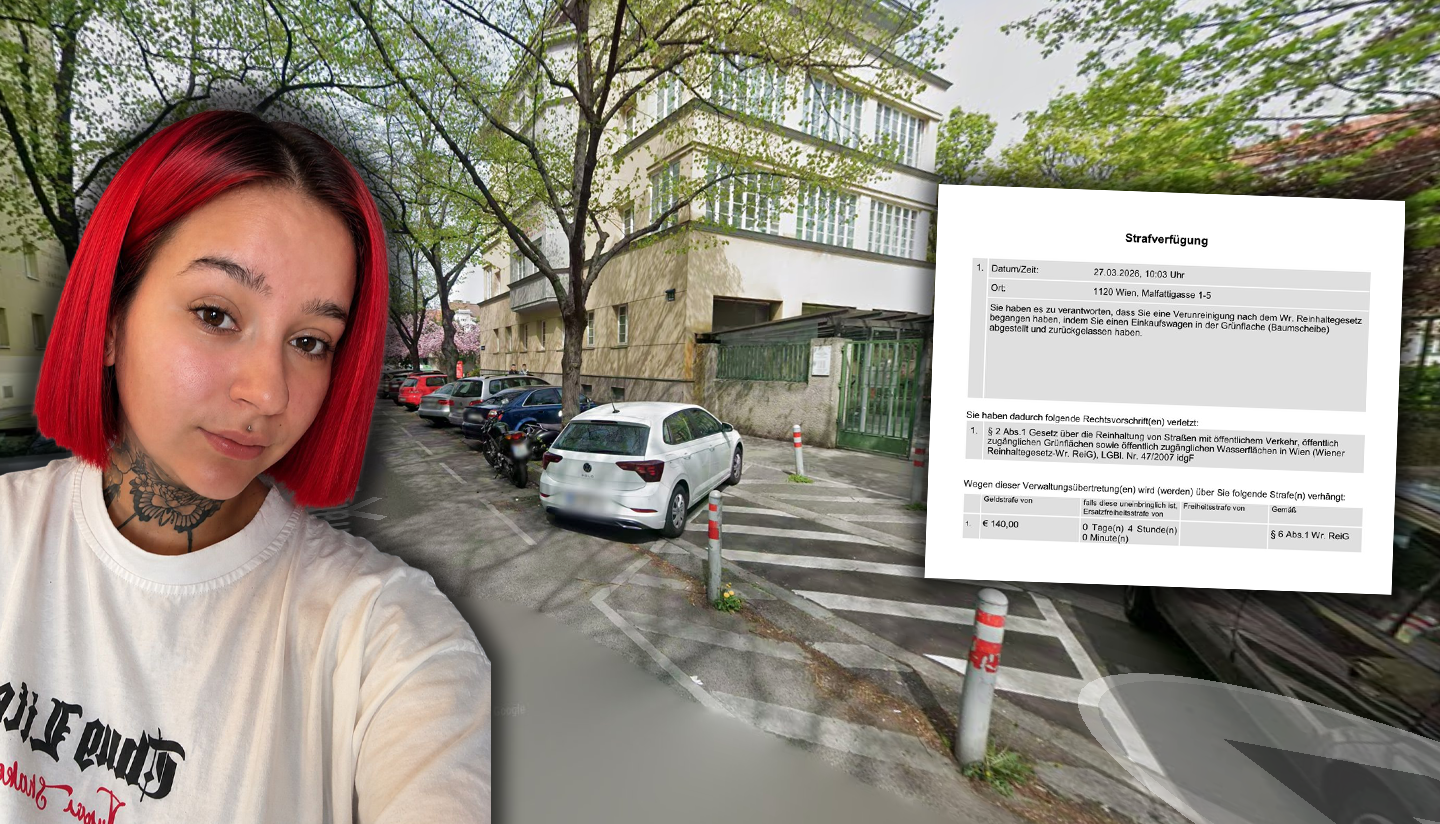 Heute.at - Wienerin verschiebt Einkaufswagen, kassiert Mega-Strafe