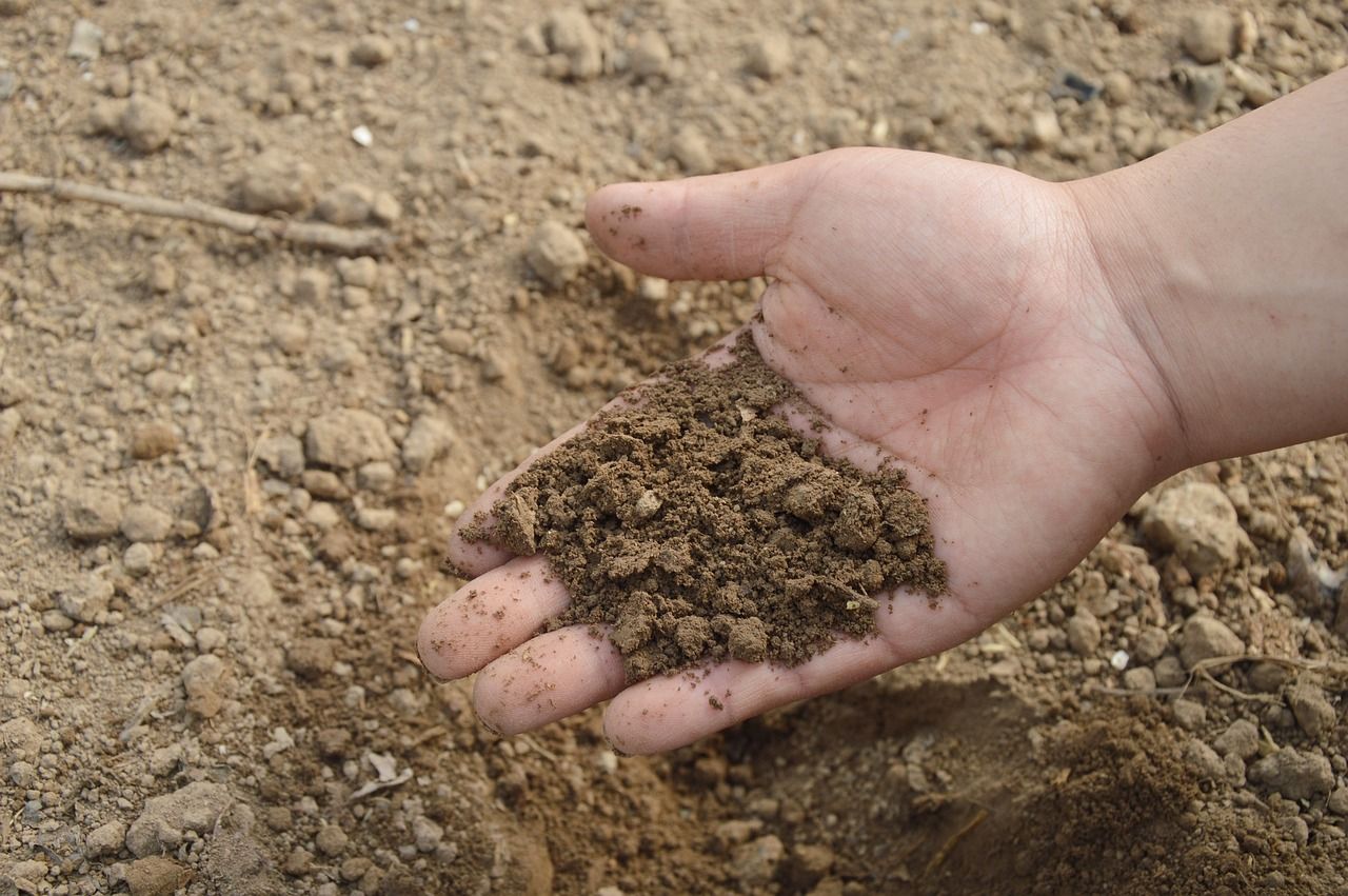 Kompostierter Gartenboden