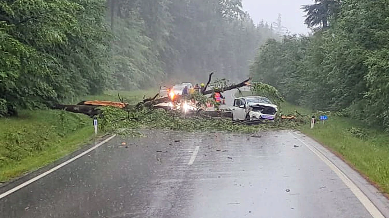 Ein weiterer Einsatz in Folge des Gewitters ereignete sich auf der B5 bei Pfaffenschlag. Ein Pkw wurde von einem umstürzenden Baum getroffen. Die Lenkerin kam mit leichten Verletzungen davon. 