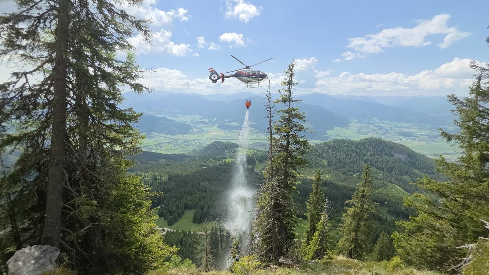 Heute.at - Blitzschlag löste verheerenden Waldbrand aus