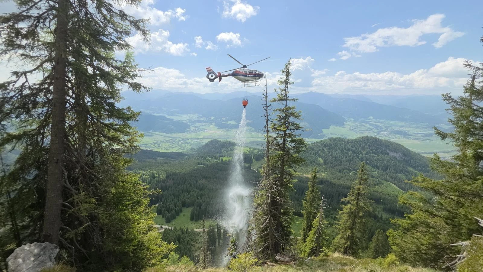 Ein Blitzschlag soll den Waldbrand ausgelöst haben.