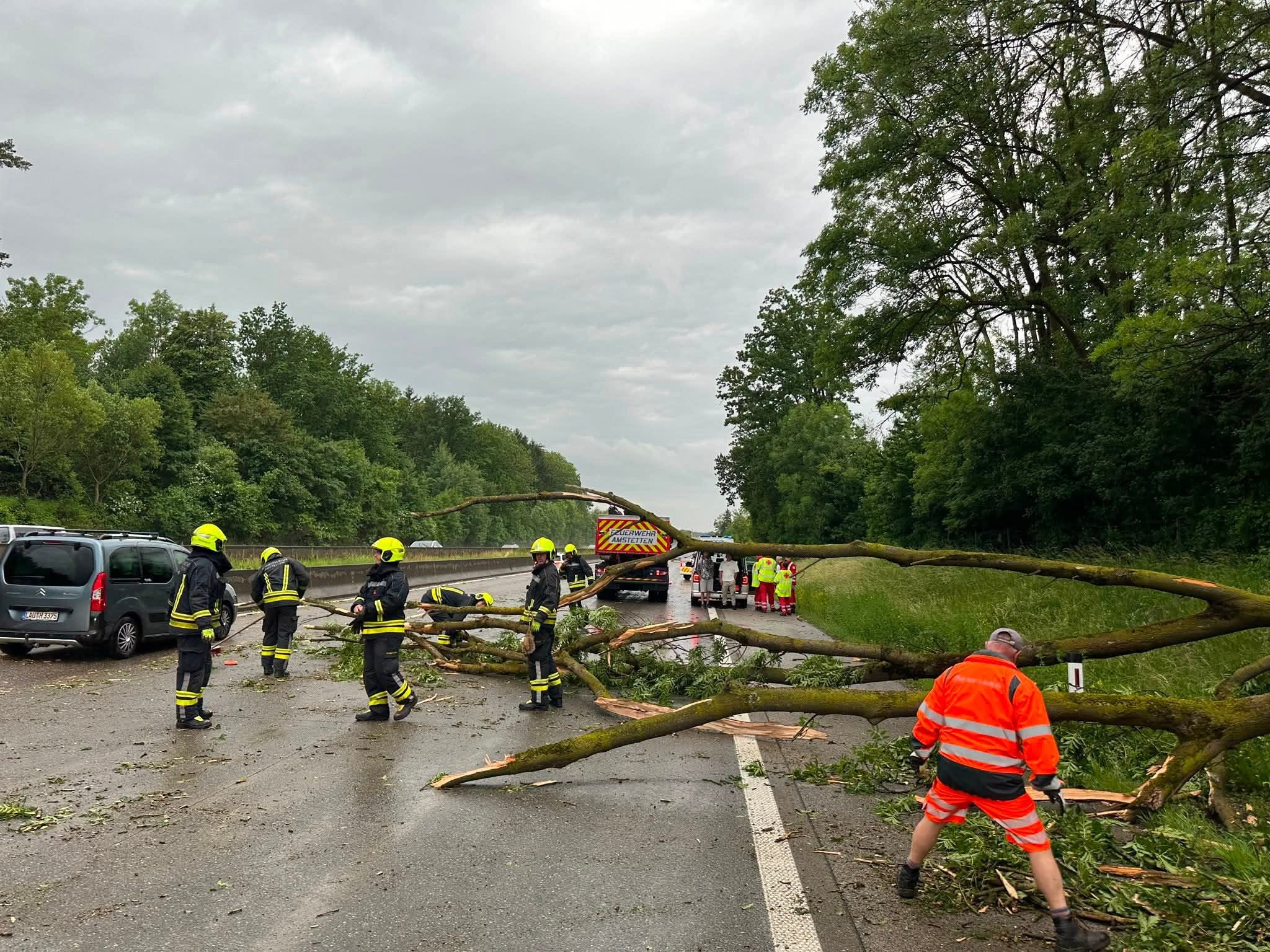 Heute.at - Unwetter! Bäume stürzen auf der Autobahn auf Pkw