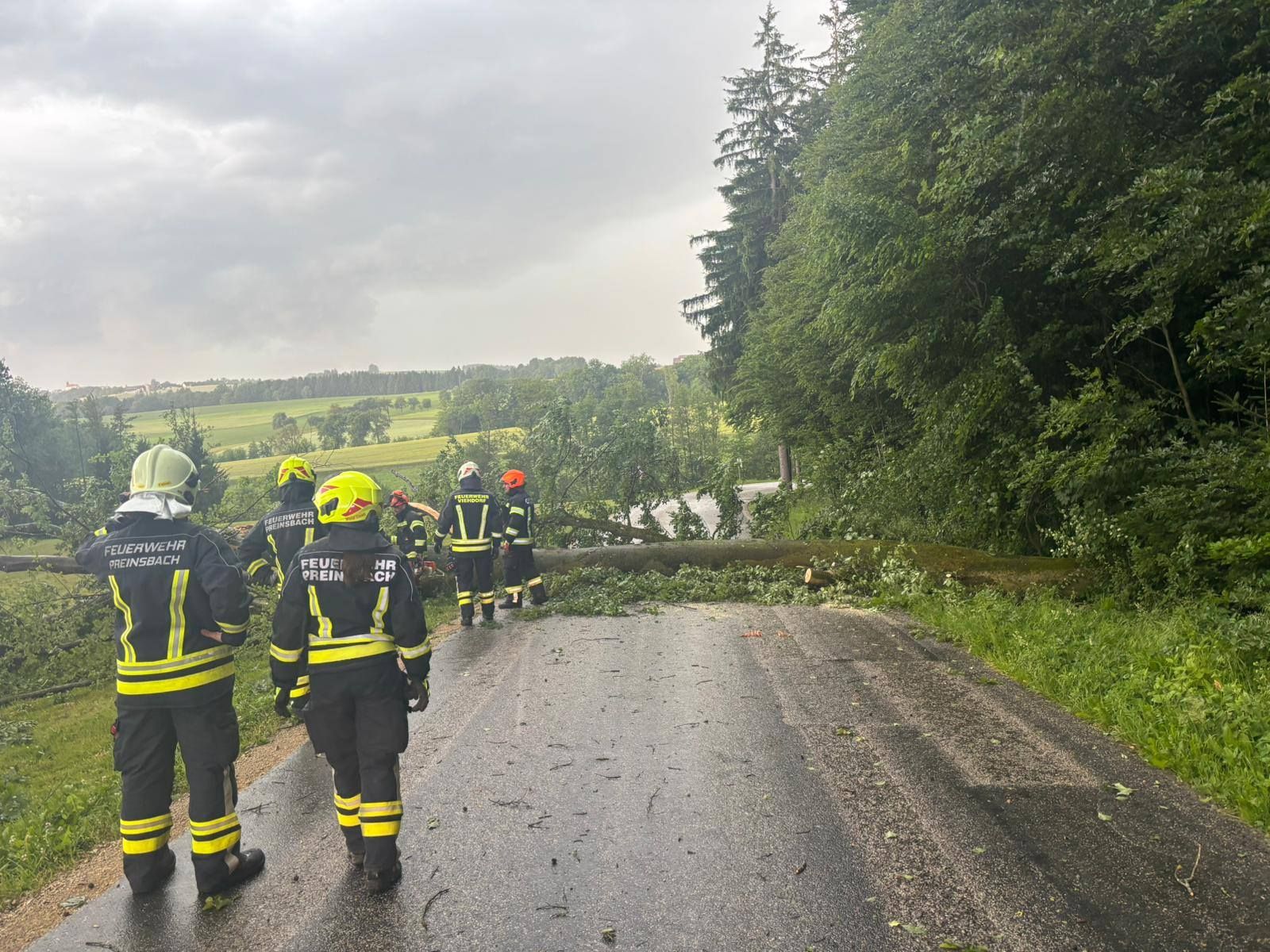 15 Unwettereinsätze: Feuerwehr von Hochzeit abgerückt