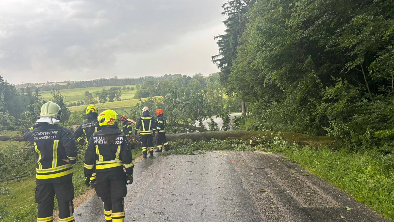 15 Unwettereinsätze: Feuerwehr von Hochzeit abgerückt