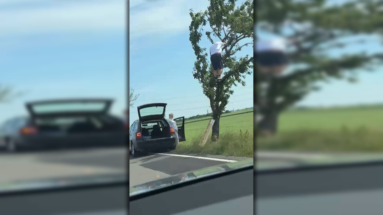Der Skoda-Lenker hielt mitten auf der Fahrbahn an, um Kirschen von einem Baum zu holen.