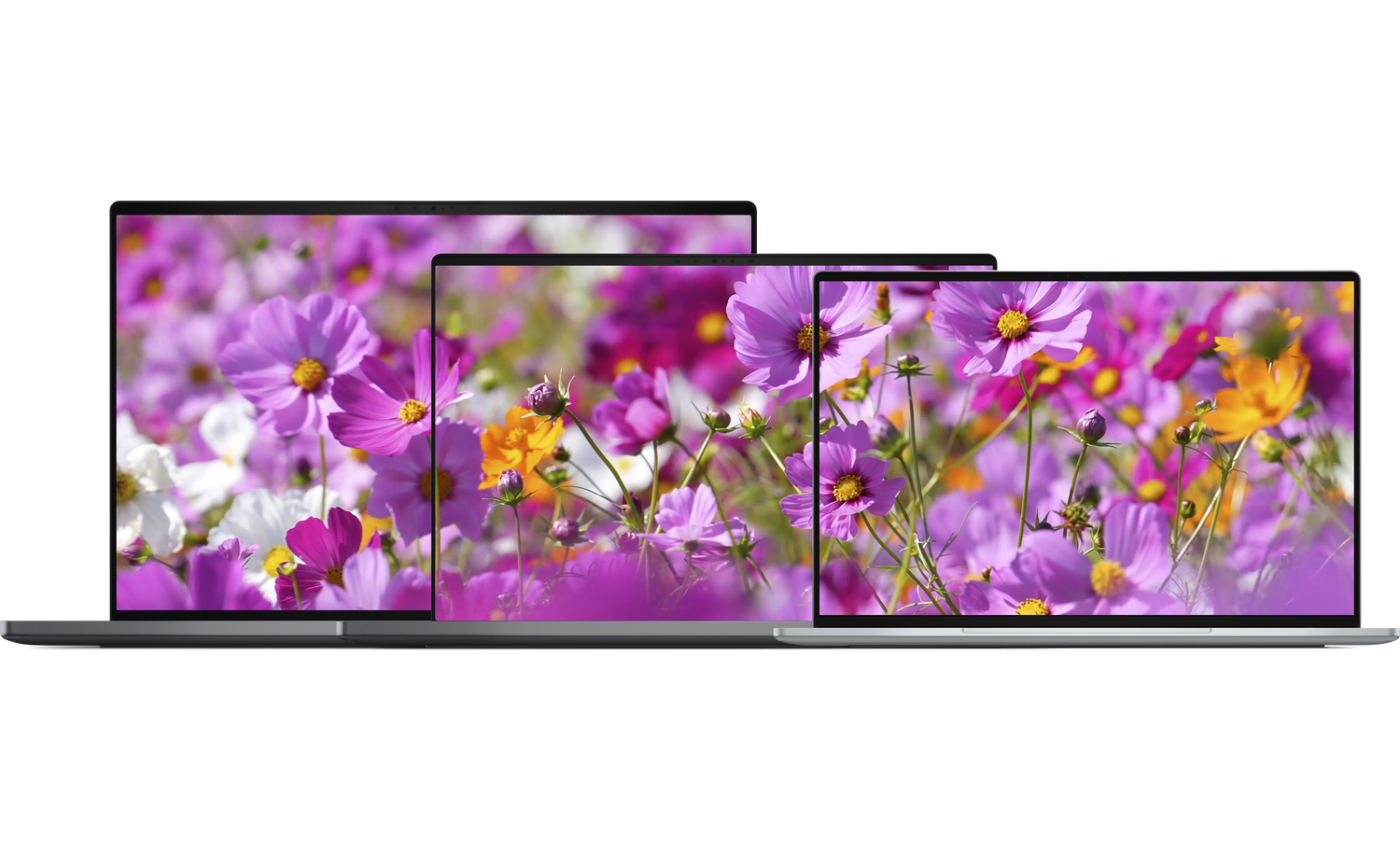 Dell bringt neues XPS 13 als günstiges Premium-Notebook.