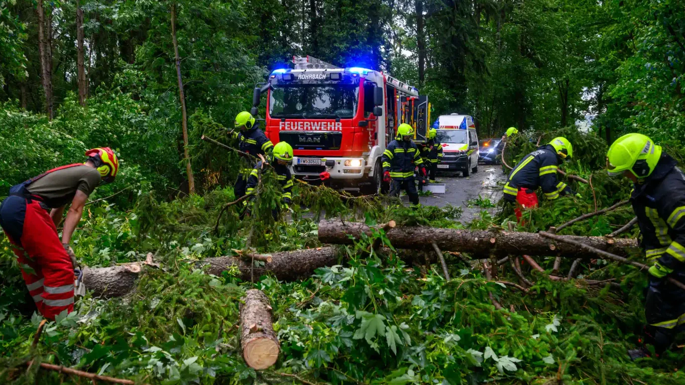 Heute.at - Heftiges Gewitter zieht Schneise der Verwüstung