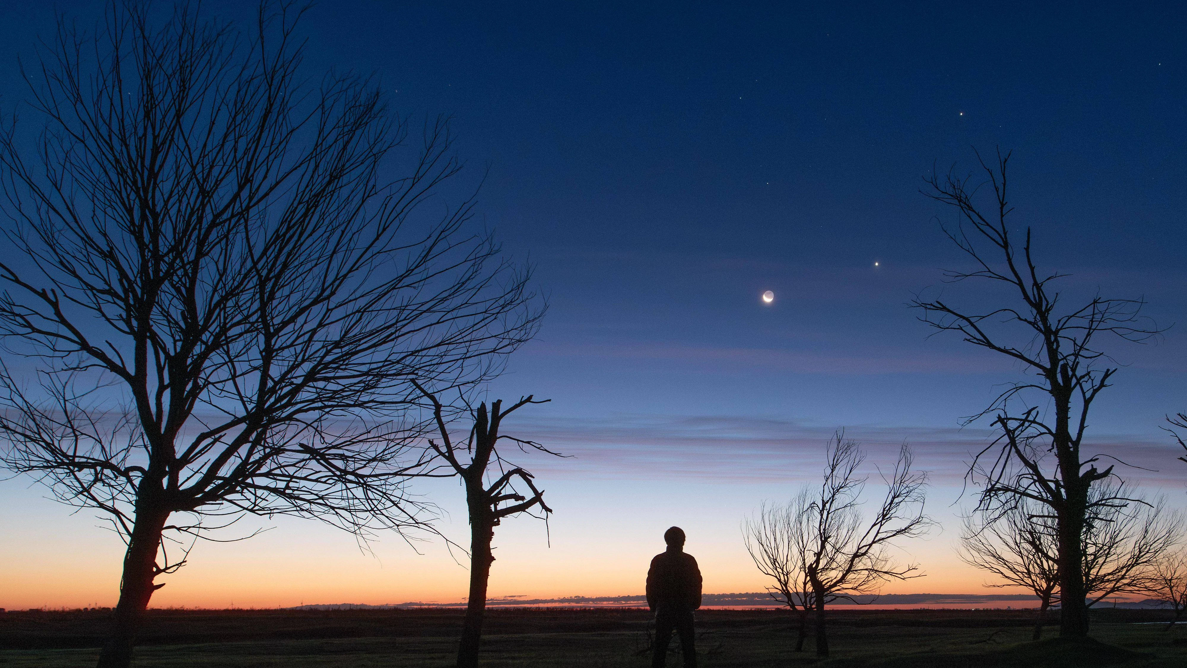Venus und Jupiter sind nahe Fujin City, im Nordosten Chinas, am Nachthimmel zu sehen.