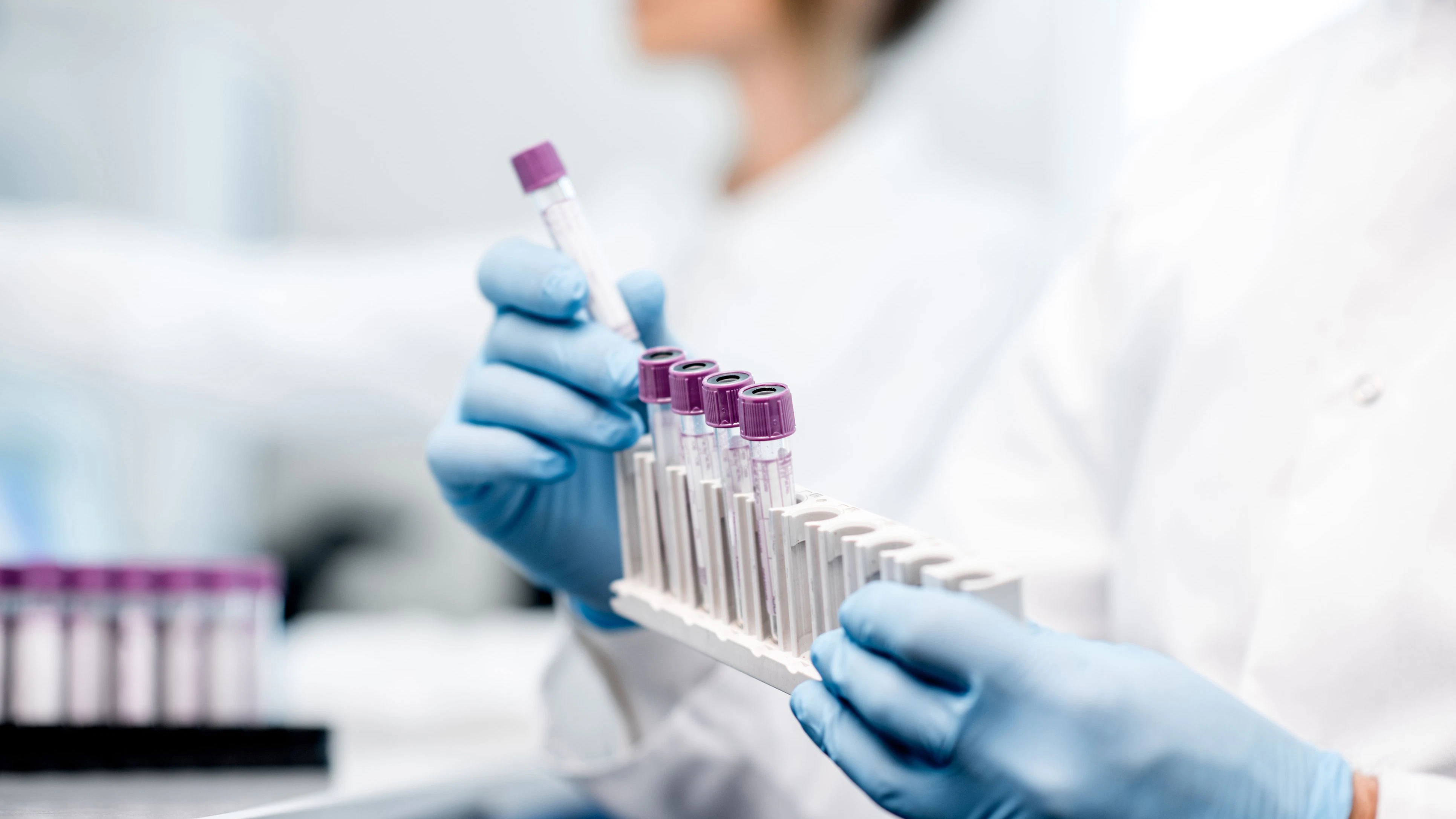 Laboratory assistant putting test tubes into the holder, Close-up view focused on the tubes