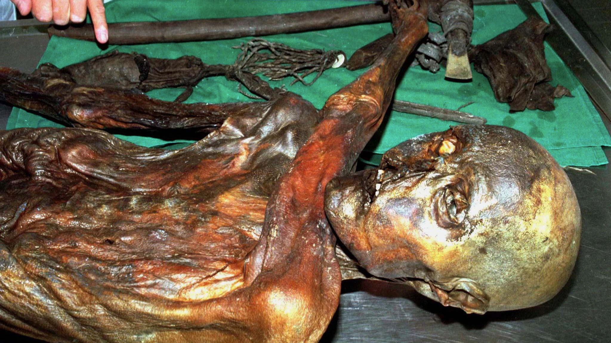 An undated handout file photo shows "Otzi", Italy's prehistoric iceman. "Otzi", Italy's prehistoric iceman, probably does not have any modern day descendants, according to a study published on October 30, 2008. A team of Italian and British scientists who sequenced his mitochondrial DNA -- which is passed down through the mother's line -- found that Otzi belonged to a genetic lineage that is either extremely rare or has died out. Otzi's 5,300-year-old corpse was found frozen in the Tyrolean Alps in 1991.    REUTERS/Handout/Files.  FOR EDITORIAL USE ONLY. NOT FOR SALE FOR MARKETING OR ADVERTISING CAMPAIGNS.