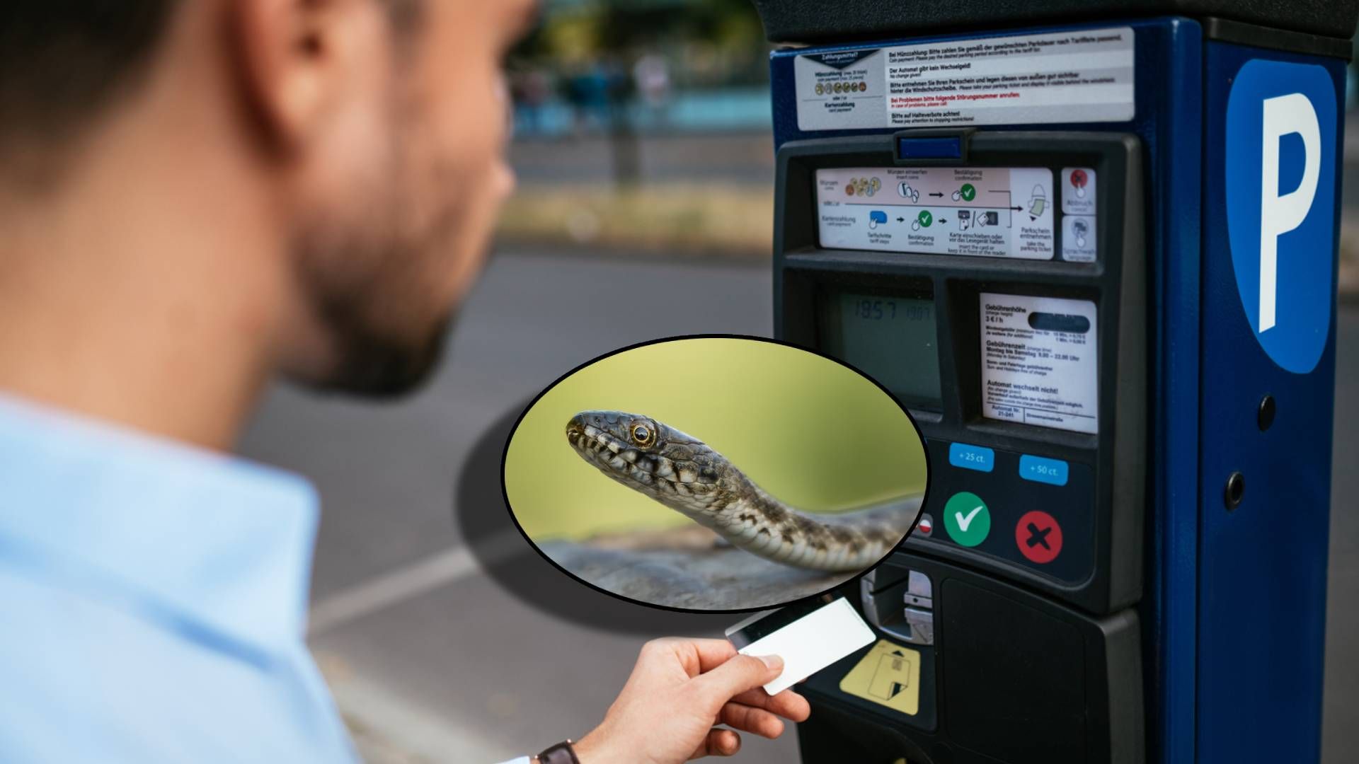 Heute.at - Besucher zieht Parkticket und fast auch eine Schlange