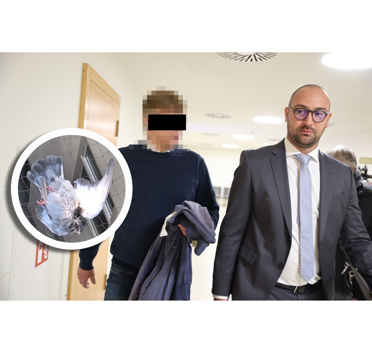 Der mutmaßliche Taubenkiller, das Opfer und Verteidiger Michael Babic (Kanzlei Rast/Musliu)