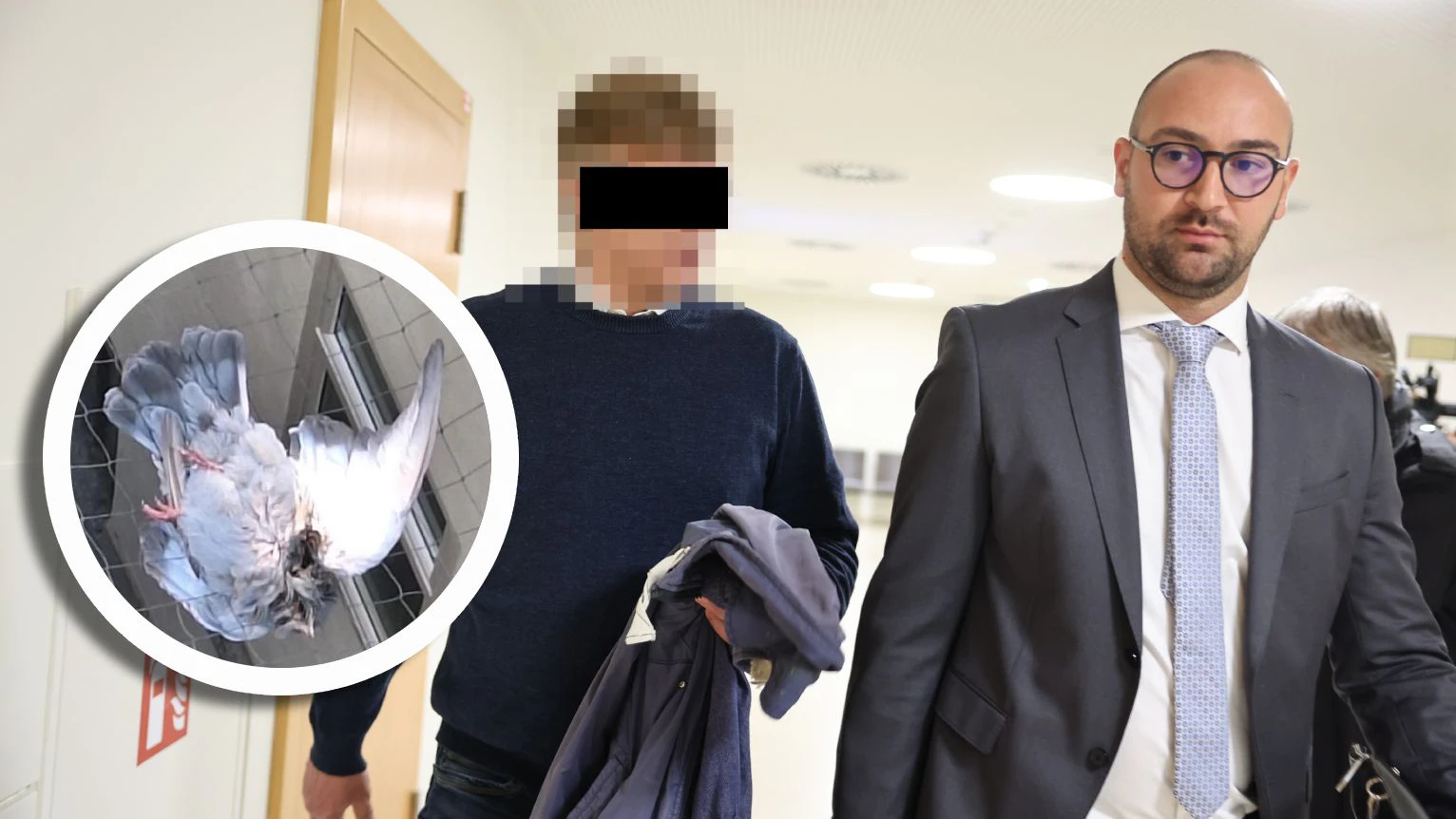 Der mutmaßliche Taubenkiller, das Opfer und Verteidiger Michael Babic (Kanzlei Rast/Musliu)