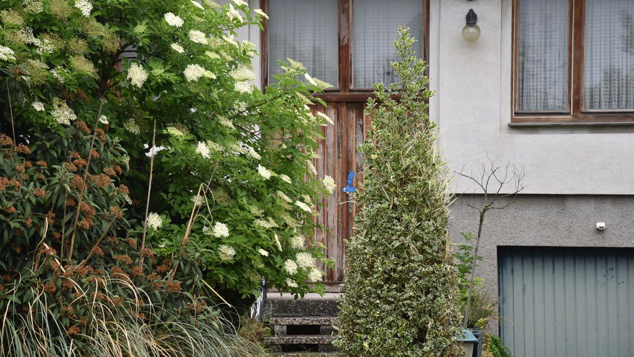 Schauriger Fund in Münchendorf