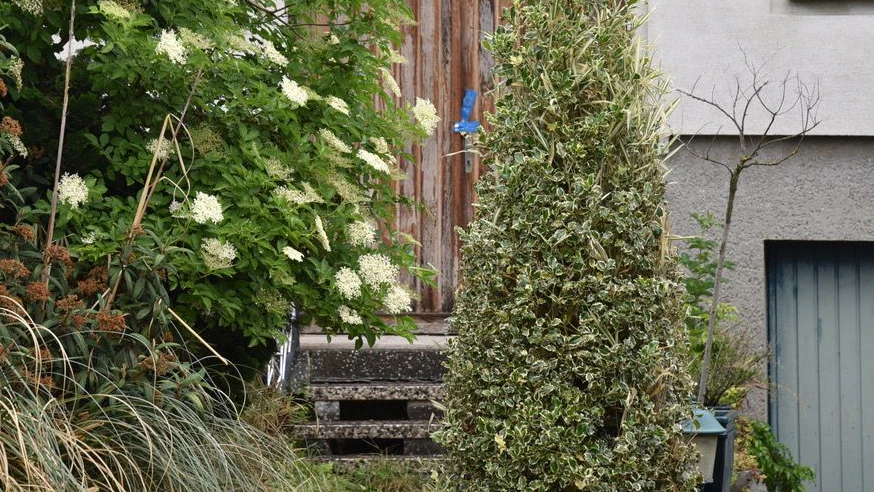 Schauriger Fund in Münchendorf
