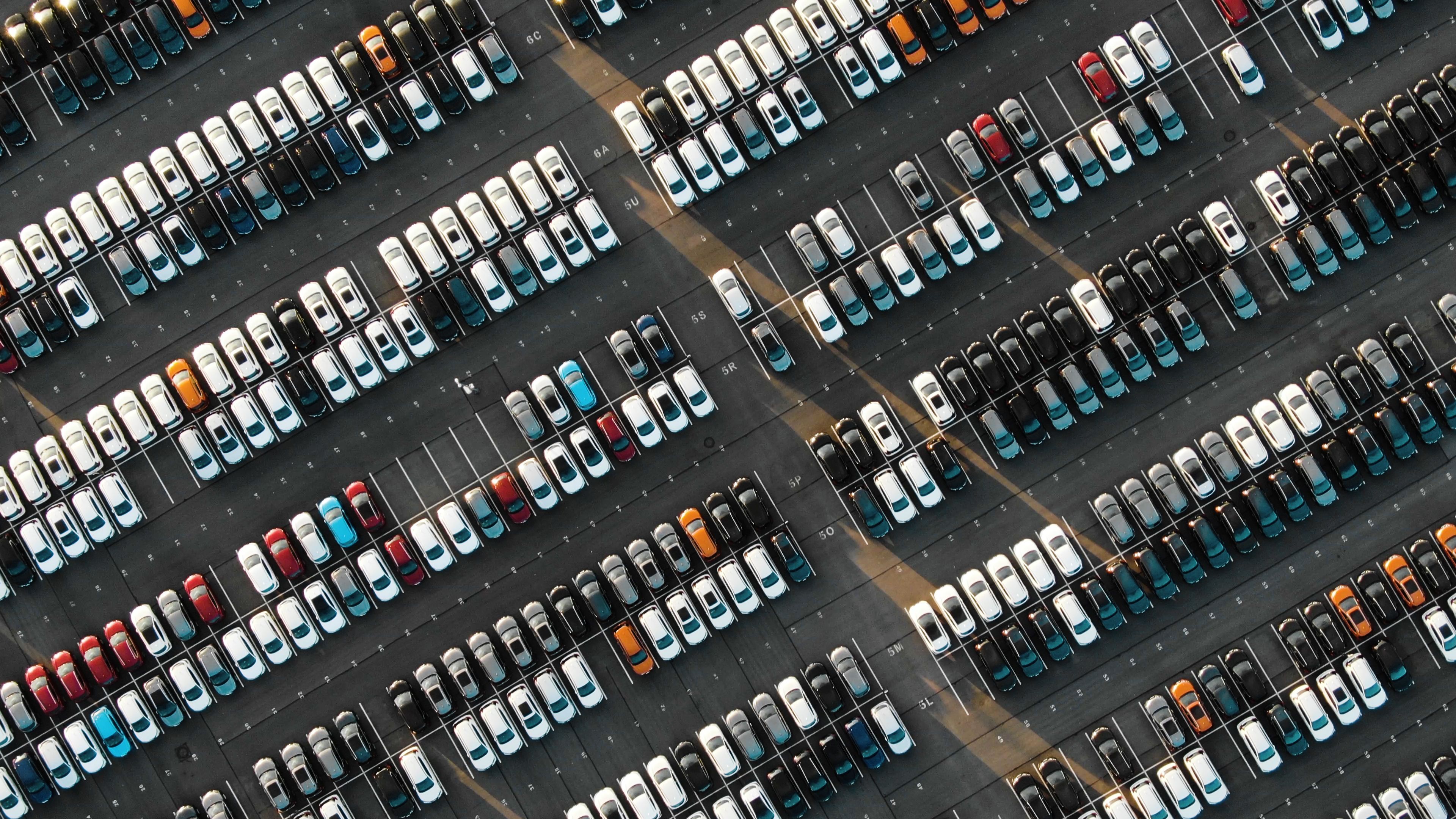 Gibt man ein Kennzeichen ein, erscheint sofort eine Erfolgsmeldung – egal, ob das Auto existiert oder nicht.