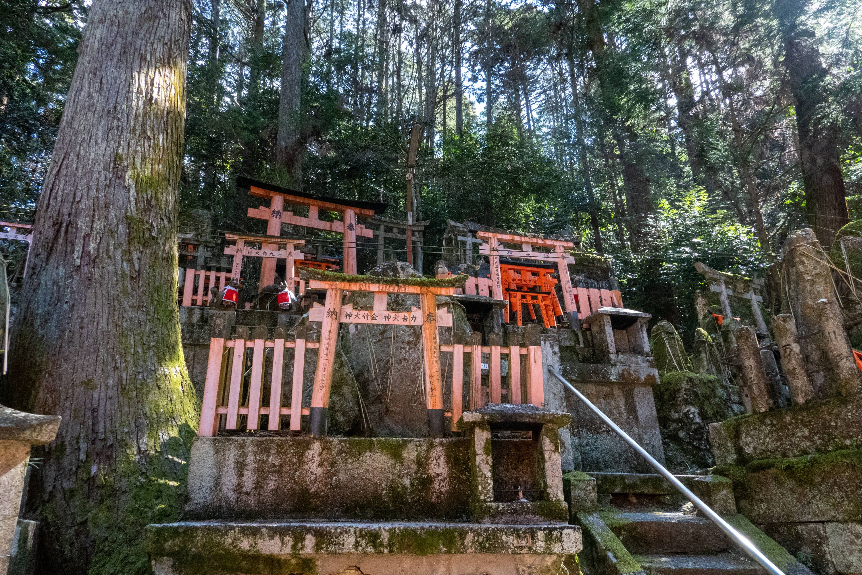 Heute.at - Nach ChatGPT-Streit – US-Student stirbt in Japan