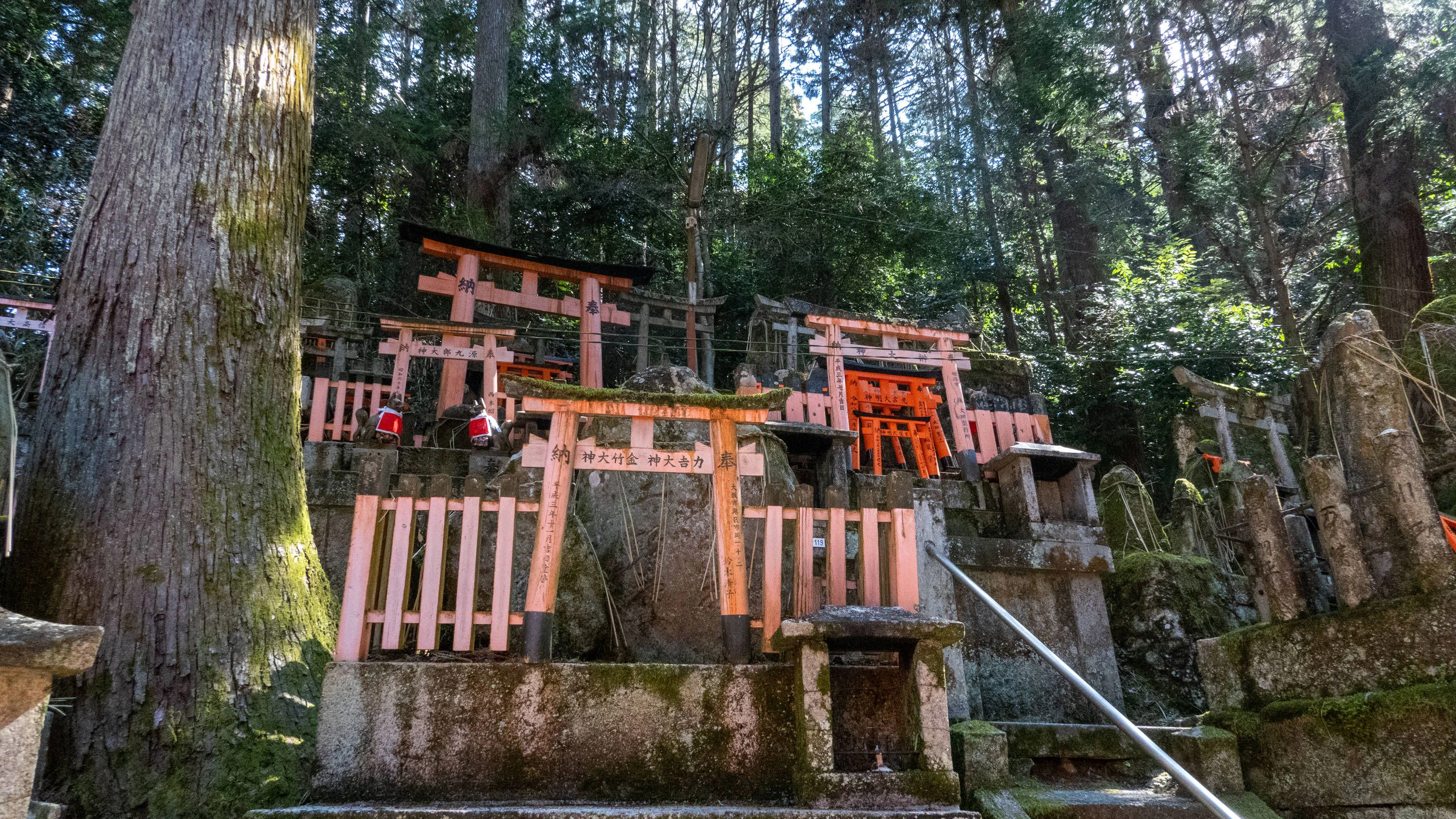 Die Leiche wurde in den Bergen um Kyoto gefunden. (Symbolbild)
