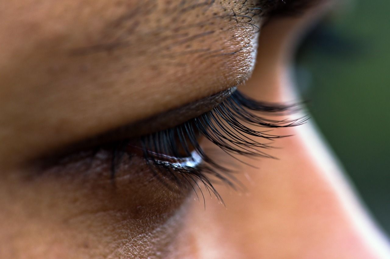 Augenlid mit Wimpern - Makroaufnahme