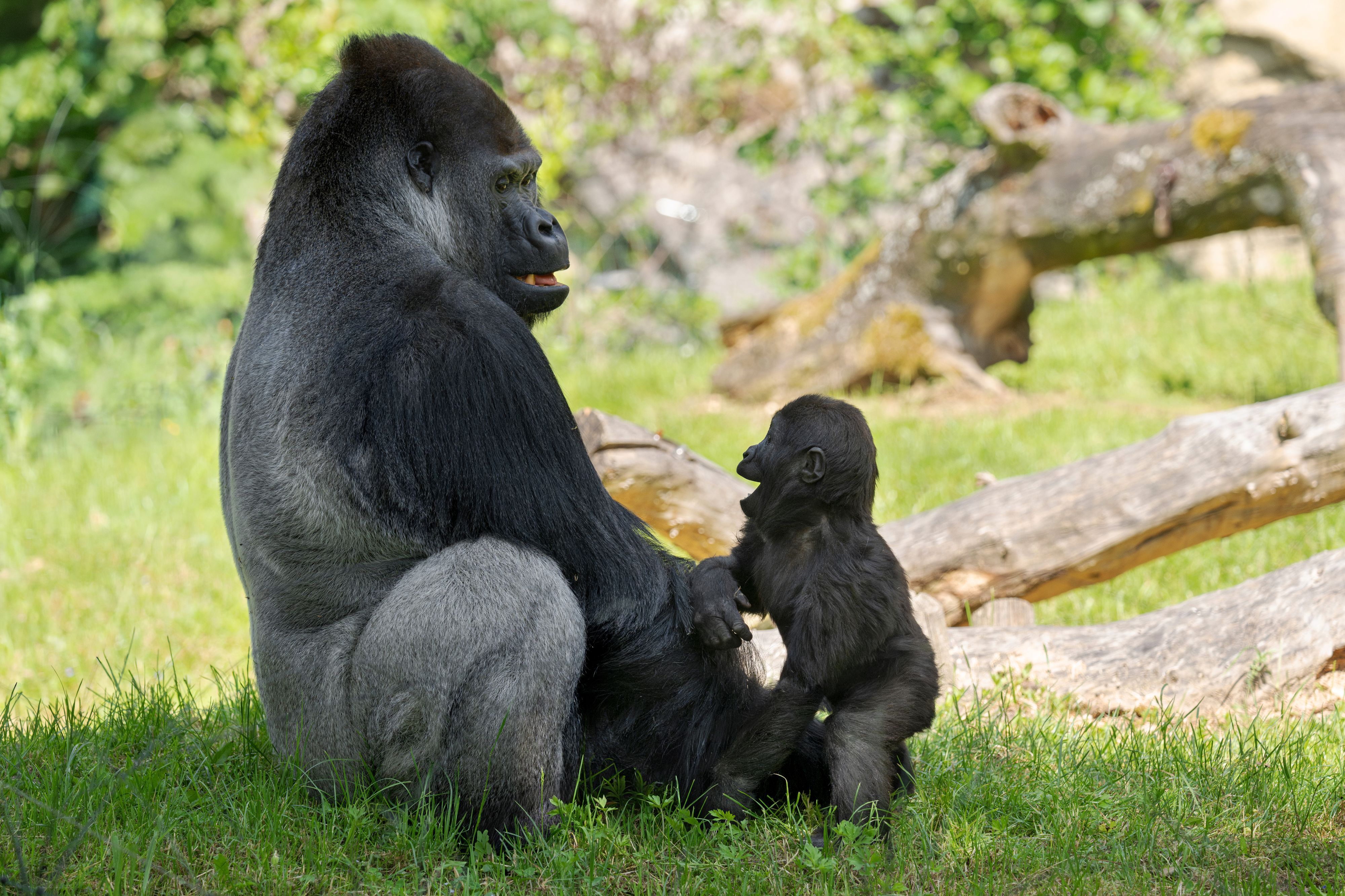 Intime Papa-Sohn-Momente!