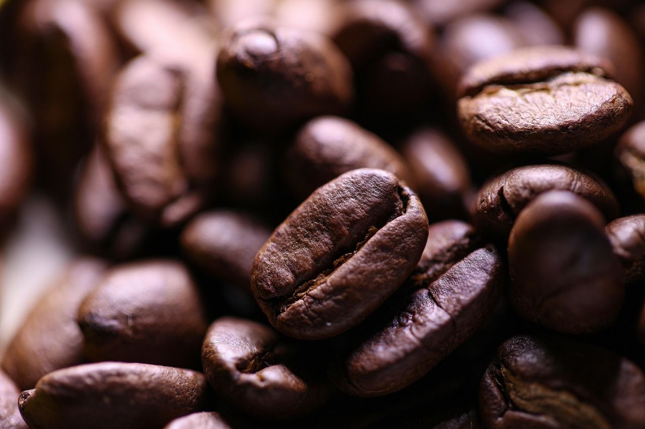 Frische Kaffeebohnen