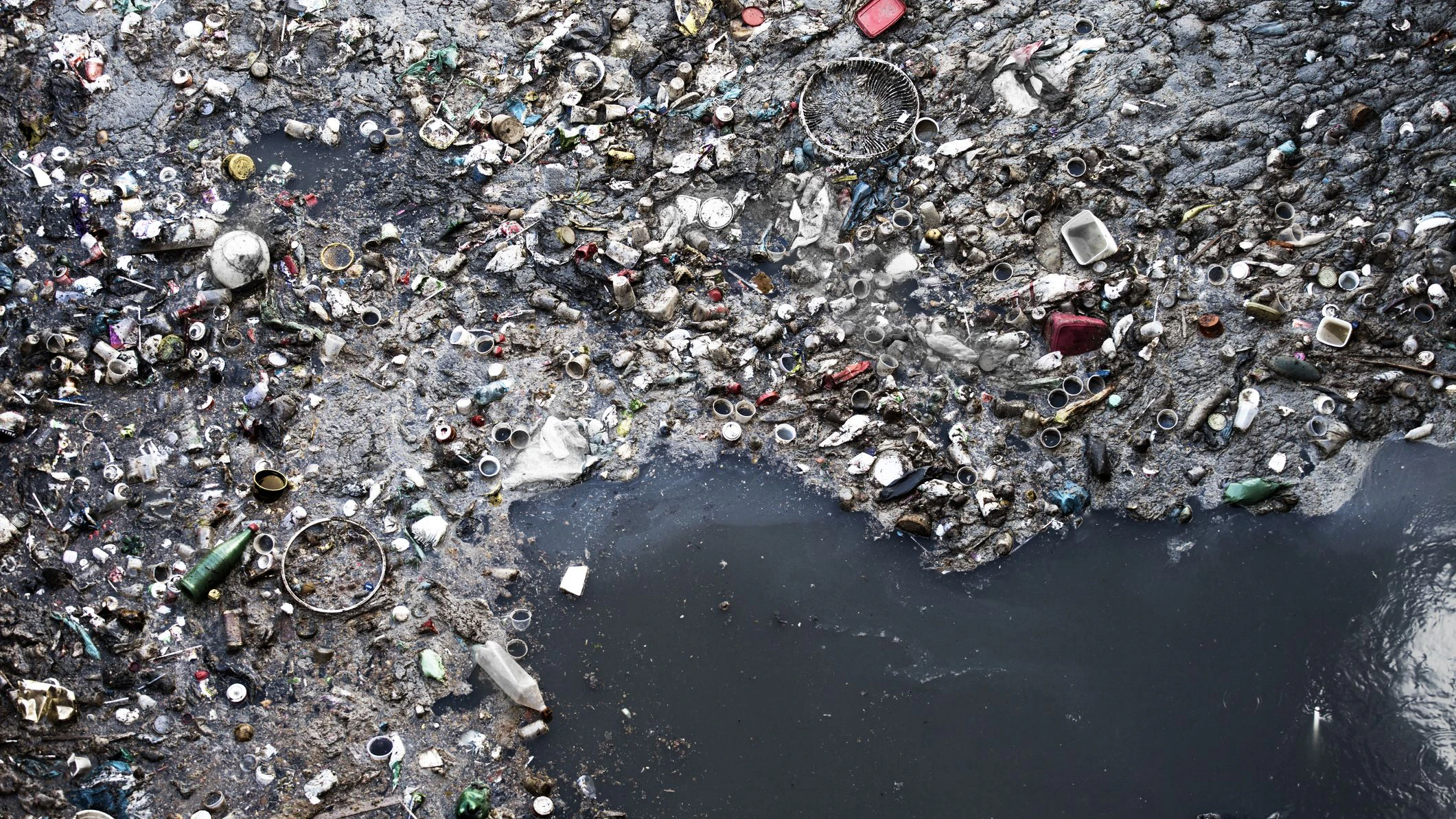 Jedes Jahr gelangen zusätzlich mehr als 19 Millionen Tonnen Plastikmüll in Gewässer und Ozeane. Einwegplastik verursacht dabei den Großteil der Verschmutzung.