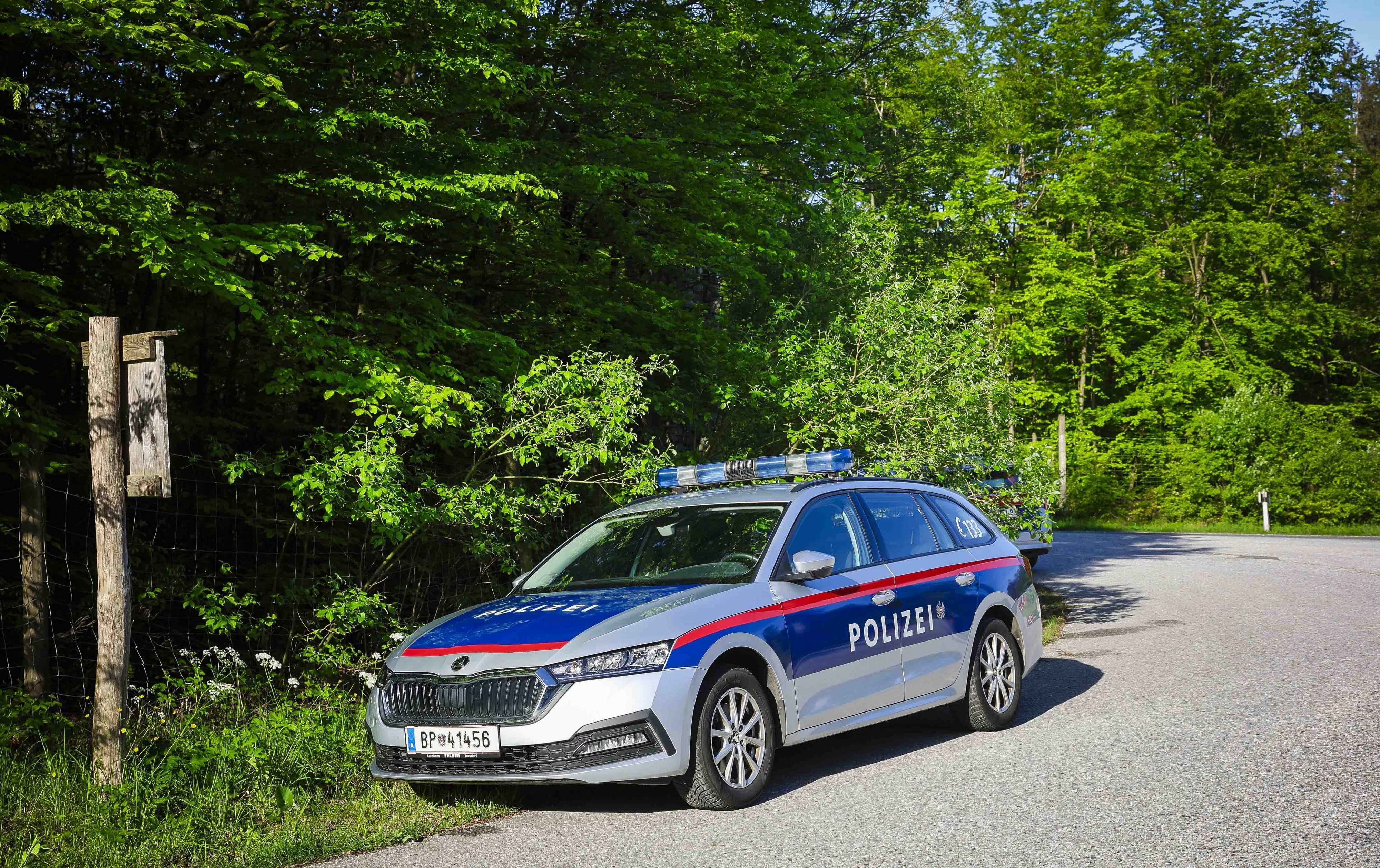 Die Identität einer Leiche, die jahrelang in einem steirisch