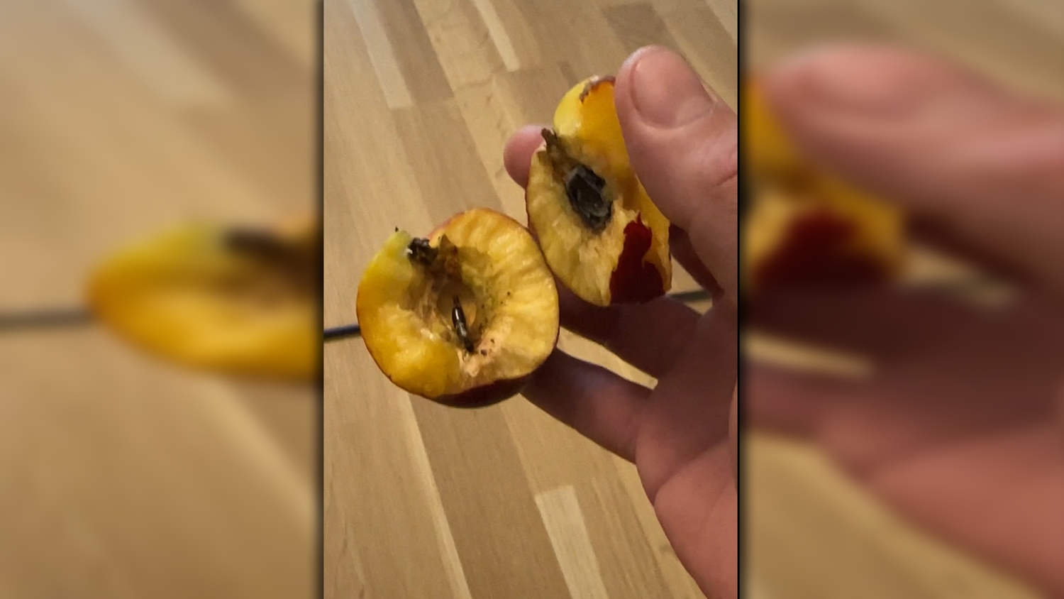 Diesen Fund macht ein Wiener in seiner Nekatarine.