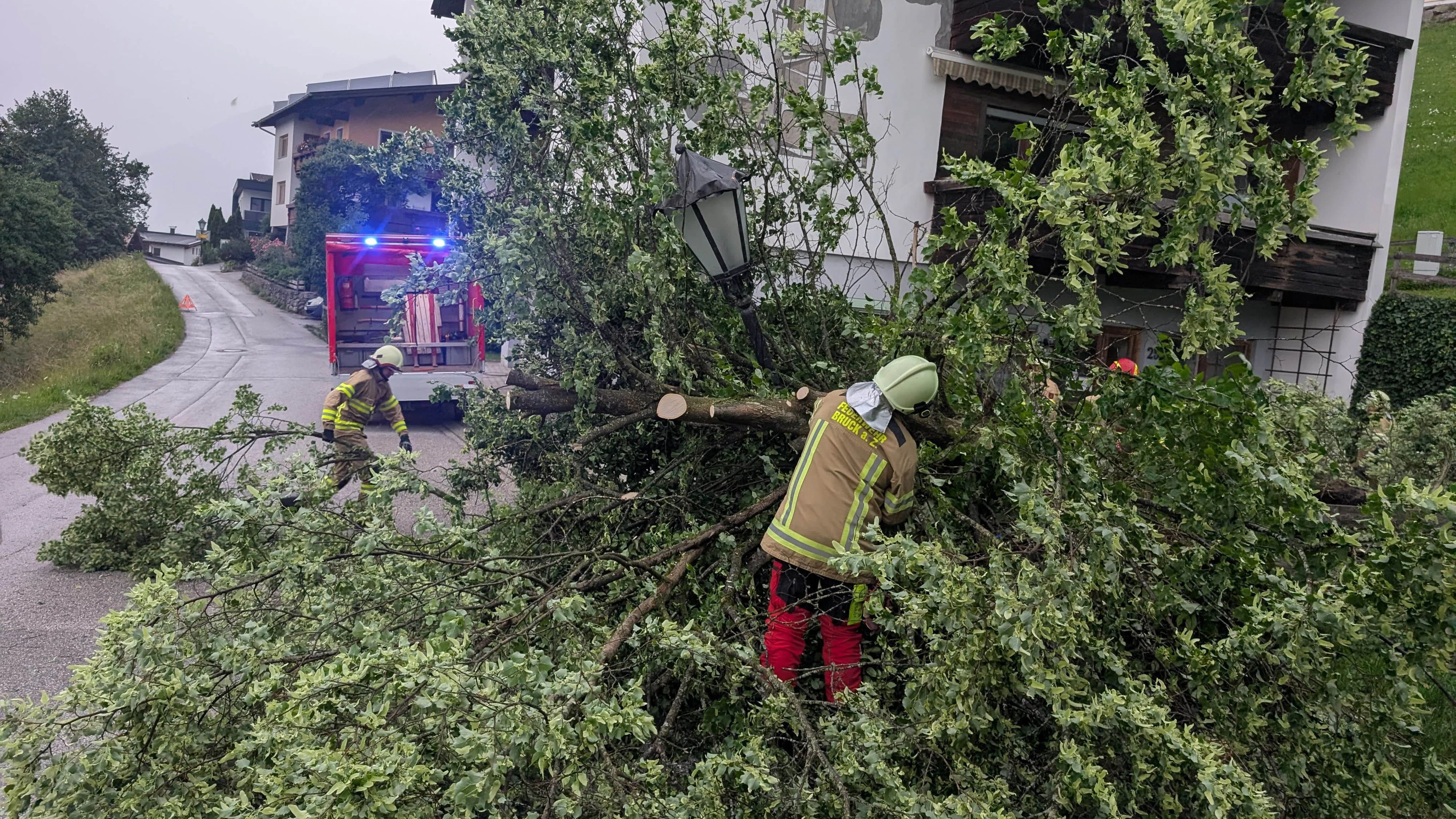 Heute.at - Unwetter fegt über Tirol – Baum blockiert Straße